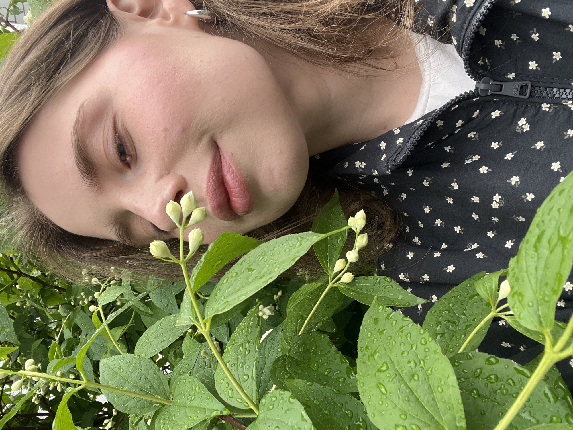A young person with light brown hair and fair skin is captured in a close-up, top-down shot, lying peacefully amidst lush green foliage. The subject, likely female, is wearing a dark jacket adorned with a small white floral pattern and a white shirt underneath. Their eyes are partially closed, and their lips are slightly parted, conveying a serene and contemplative expression. A silver hoop earring is visible in their left ear.
The foreground and background are dominated by dense green leaves and numerous white flower buds, possibly jasmine or a similar shrub, suggesting an outdoor setting like a garden or park in Chaikovsky, Russia. Many of the leaves are covered in glistening water droplets, indicating recent rain or dew. Two prominent branches with clusters of buds are close to the person's face. The light appears natural, suggesting it is daytime.
A black zipper with a visible zipper pull showing the brand "sese" is prominent on the person's jacket, running diagonally across the upper right portion of the image. The overall mood of the image is calm and fresh, emphasizing natural beauty and a tranquil moment after rain.
