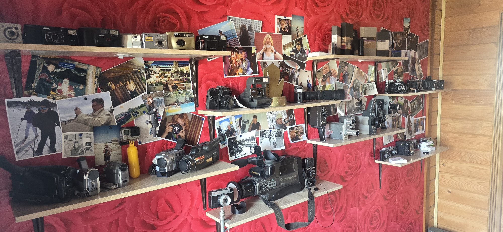 A wall covered in a vibrant red rose-patterned wallpaper displays an extensive collection of vintage cameras and photographic equipment, arranged on wooden shelves. The shelves are packed with a variety of items, including instant cameras, digital cameras, camcorders, and older film cameras. Among the cameras, numerous photographs are pinned to the wallpaper, featuring personal snapshots of people, landscapes, and possibly events. The arrangement suggests a collector's display, with items organized by shelf and seemingly by type or size. To the right of the shelves, a section of a wooden wall with horizontal planks is visible, indicating the setting might be indoors within a wooden structure or an attached area. The overall impression is one of a well-curated personal archive of photographic history. There are no people visible in the image. The location is confirmed to be in the city of Gostagayevskaya, Russia.