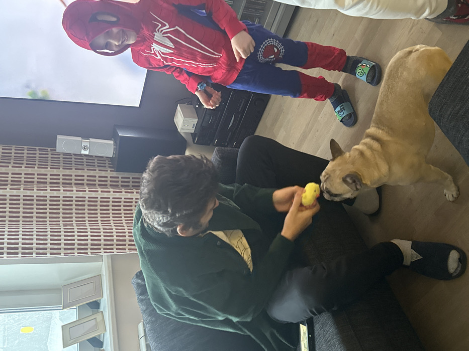 An indoor scene in a residential dwelling located in Tarasovka, Russia, depicts three individuals and a dog. An adult male with dark hair, wearing a dark green jacket and dark trousers, is seated on a dark grey sofa on the left. He is leaning forward, holding a small yellow toy in his hands, presenting it towards a fawn-colored French Bulldog standing on the light-colored wooden floor. The dog is looking up at the toy. To the right, a young child, dressed in a red and blue Spider-Man hooded jumpsuit with a blue watch on his left wrist, stands smiling, observing the interaction. He is wearing dark socks and blue sandals with cartoon dinosaur designs. A partial view of a third person's leg in white pants is visible on the far right. In the background, two windows with light-colored frames and patterned reddish-brown curtains are visible, with two empty golden picture frames on the windowsill. To the right of the sofa, audio equipment including silver speakers on a dark stand and a stack of black electronic components with a white device on top are present. A large, wall-mounted flat-screen television displaying a blurred image is visible above the audio equipment.