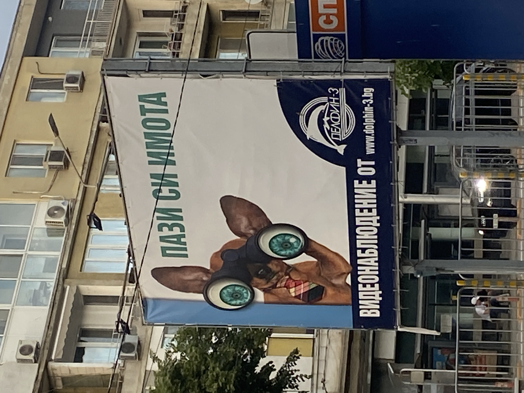 The image shows a billboard in Varna, Bulgaria. The billboard features a cartoon-like image of a dog using binoculars with eyeball-shaped lenses, next to Bulgarian text. The text reads "ПАЗИ СИ ИМОТА" (Protect your property) and "ВИДЕОНАБЛЮДЕНИЕ ОТ" (Video surveillance from). It also has the logo of "ДЕЛЬФИН-3" (Dolphin-3) and the website "www.dolphin-3.bg". The billboard is attached to a metal structure, possibly scaffolding. The background includes a light-colored building with windows and air conditioning units, and some greenery. A person appears to be visible through a window in the scaffolding.