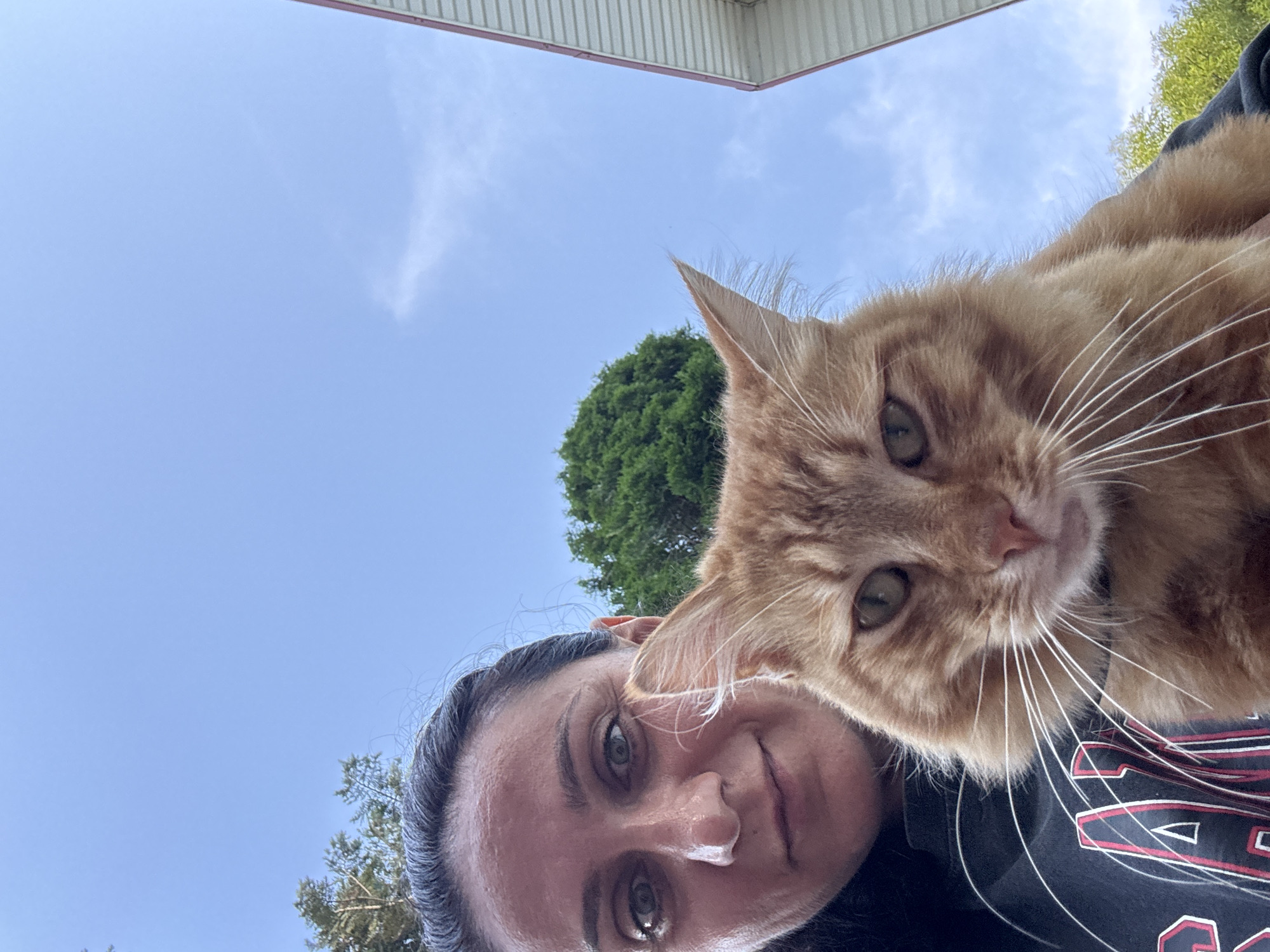 An outdoor, eye-level, medium shot captures a woman holding an orange cat against a backdrop of a bright blue sky and some greenery. The woman, with dark hair pulled back, is looking towards the camera with a slight smile. The orange cat, positioned in front of her, is also looking towards the camera. Behind them, a dense green tree is visible on the left, and the edge of a white-sided building with a red trim is on the right. The image appears to be taken in Vesyoloye, Russia.