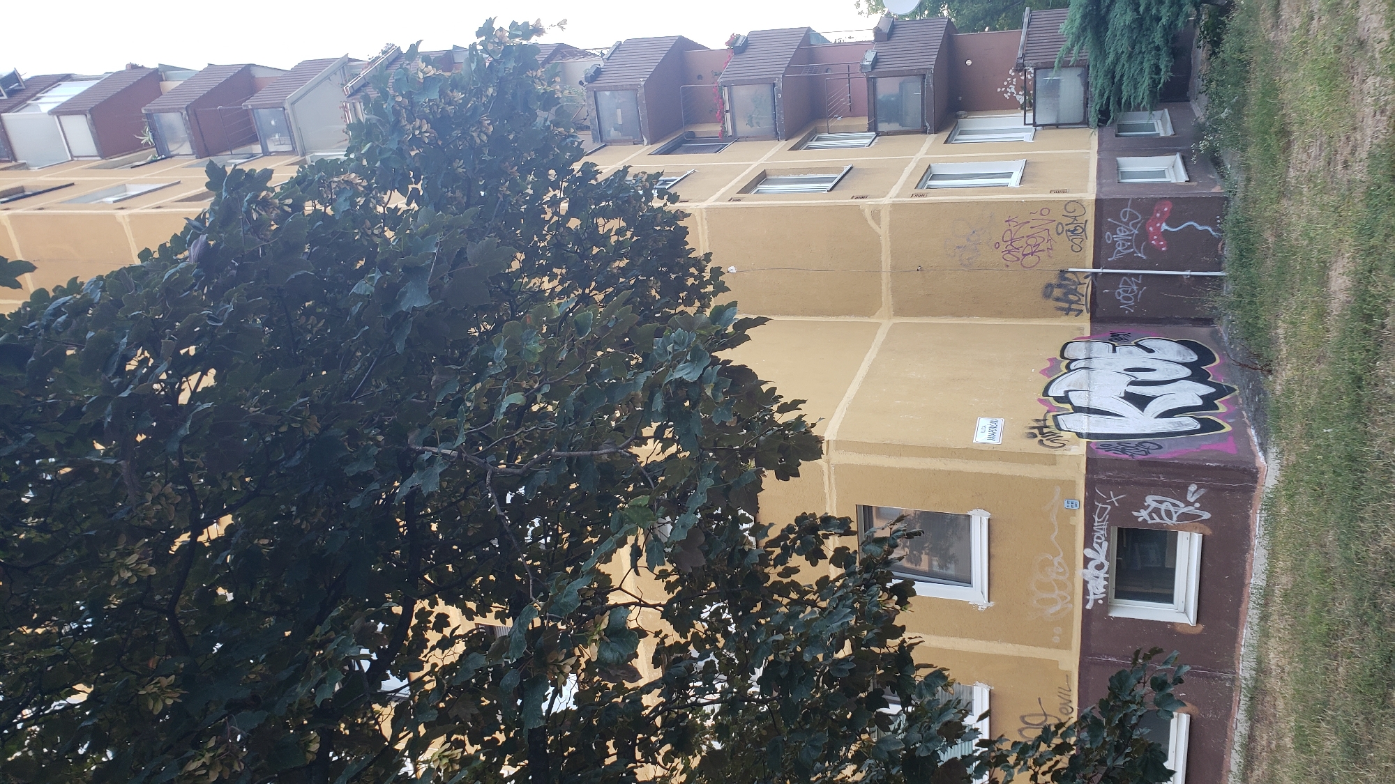 A deciduous tree with dark green leaves partially obscures the right side of a multi-story apartment building. The building, painted yellow with brown trim at the base, features several windows and balconies. The balconies are enclosed with glass and brown frames, some containing potted plants. The lower section of the building displays various graffiti tags, including the word "KOZE" in large white letters with pink and black outlines. A small sign with the text "ul. JANA PONIČANA" is visible on the wall near the upper corner of the graffiti. The ground in front of the building is covered in grass. The scene is set in Bratislava, Slovakia.