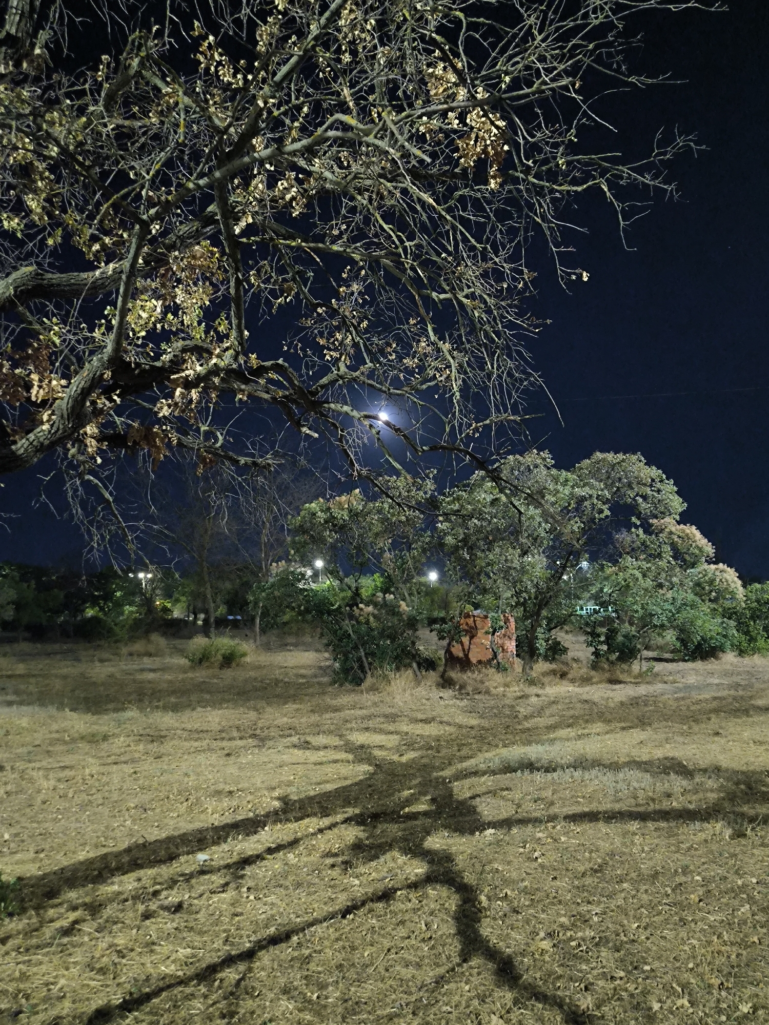 This image depicts a nighttime scene in a park or open field in Mykolaiv, Ukraine. The foreground is dominated by dry, mown grass, casting long, distorted shadows from unseen trees. In the mid-ground, several trees are visible, some with dense foliage and others appearing bare-branched. A distinctive reddish-brown brick structure, possibly a small monument or part of an old building, stands amongst the trees. The background reveals more trees and what appear to be streetlights, indicating an urban or suburban park setting. The sky is dark, suggesting it is nighttime, with a faint moon or atmospheric light source visible in the upper center of the image. There are no people or animals visible in the scene, and the overall impression is one of quietness and natural light.