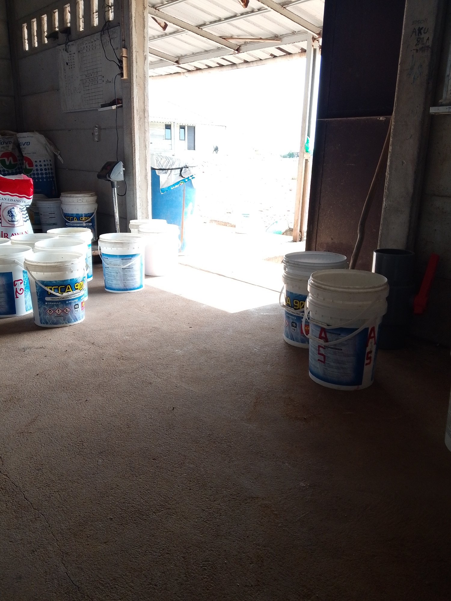 The image depicts the interior of what appears to be a storage area or shed in Bukit Ketok, Indonesia. There are various containers and buckets of chemicals or cleaning products scattered around on the cement floor. Some of these containers have labels indicating "TCCA 90" and "15 kg," suggesting they contain Trichloroisocyanuric acid. Several bags of "Novo" branded products are also visible. The room is partially open to the outside, with sunlight streaming in and a view of other buildings and the landscape. The structure of the shed or storage area is constructed with concrete walls and metal roofing. An upright metal pole, labeled with a scrawled "AKU BILA," stands by the entrance to the structure, which is partially blocked by a dark brown door or wall. The lighting in the image is a mix of natural light and shadows, indicating different areas of exposure and obstruction of sunlight. The floor has a rough and unsealed texture, and the general appearance is utilitarian and functional.