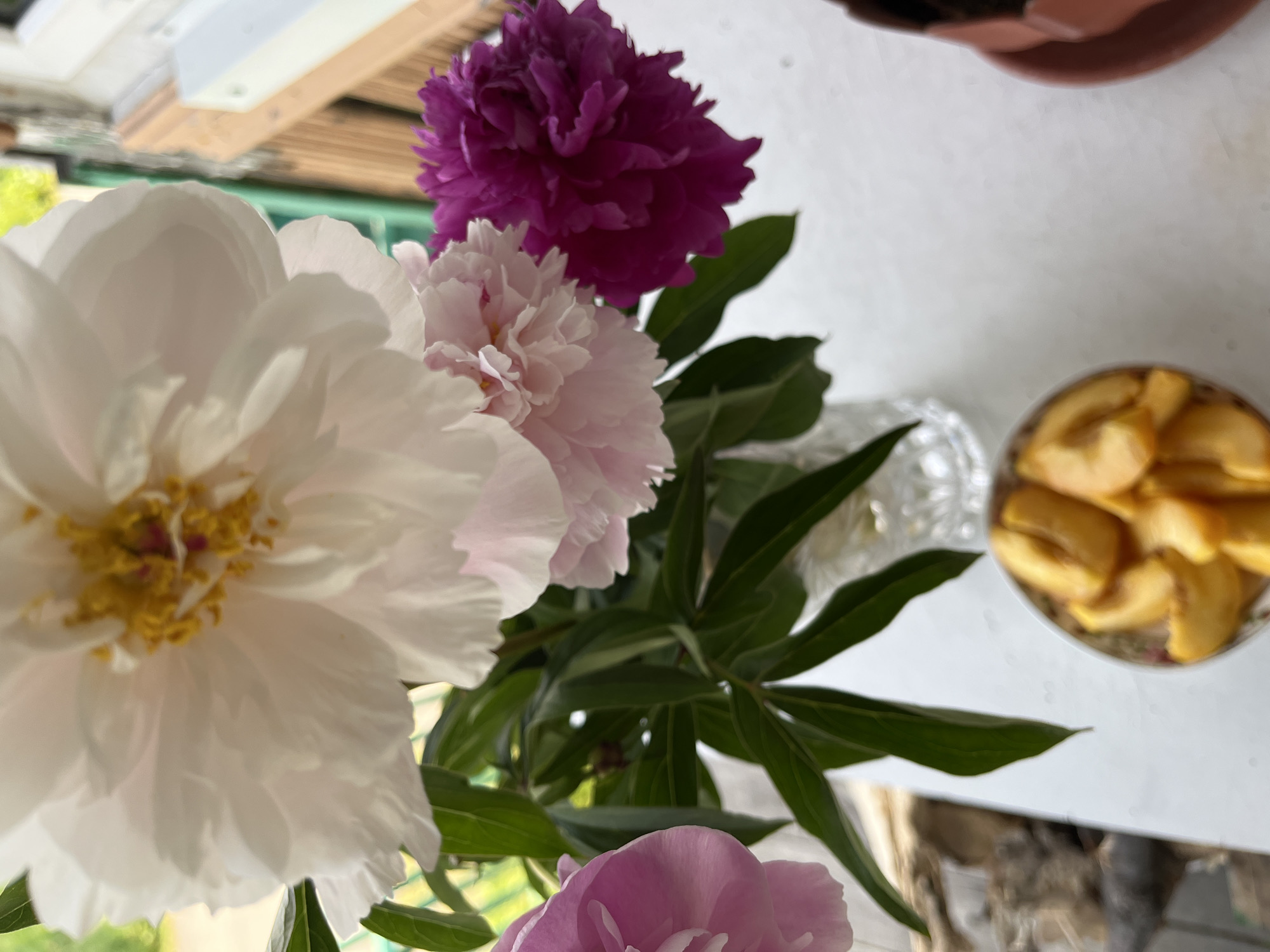 A close-up, slightly elevated, vertical shot shows a bouquet of peonies in a crystal vase on a white surface, possibly a windowsill. The flowers are in various stages of bloom and colors, including white, pale pink, and dark pink. Lush green leaves are visible amongst the blossoms. To the left of the vase, out of focus, is a pile of light brown, organic material. In the bottom right corner, a small terracotta pot containing a dark green plant is visible. The background is blurred, with hints of greenery and a wooden structure, suggesting an outdoor or semi-outdoor setting. The image does not contain any recognizable landmarks or elements that would specifically place it in Petropavlovsk-Kamchatsky, Russia.
