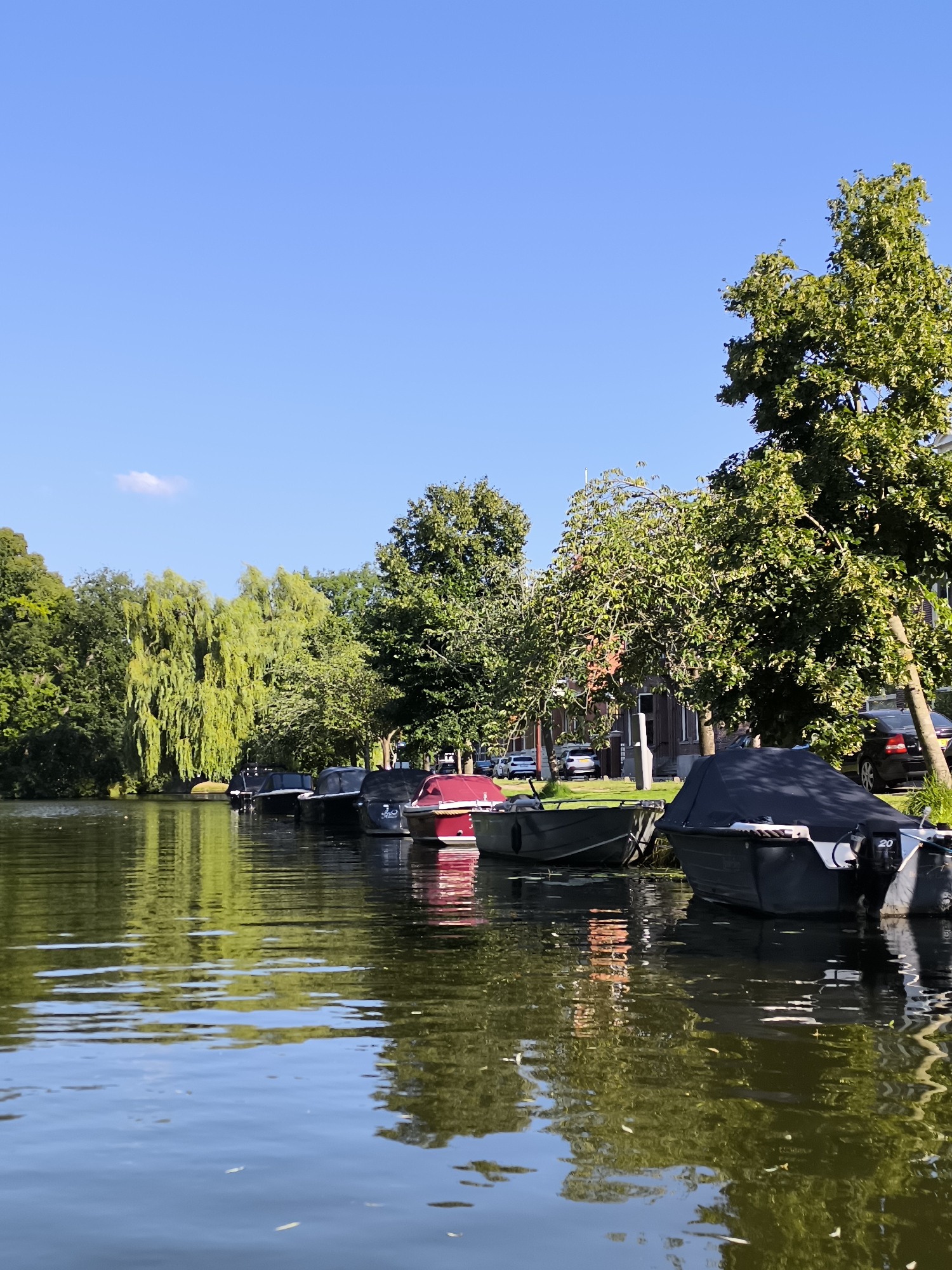 The image depicts a serene canal scene in Alkmaar, Netherlands. Several boats are moored along the right bank, some covered with tarps. Trees and buildings line the canal, with lush greenery dominating the left side of the frame. The water reflects the trees and the blue sky, creating a peaceful atmosphere.