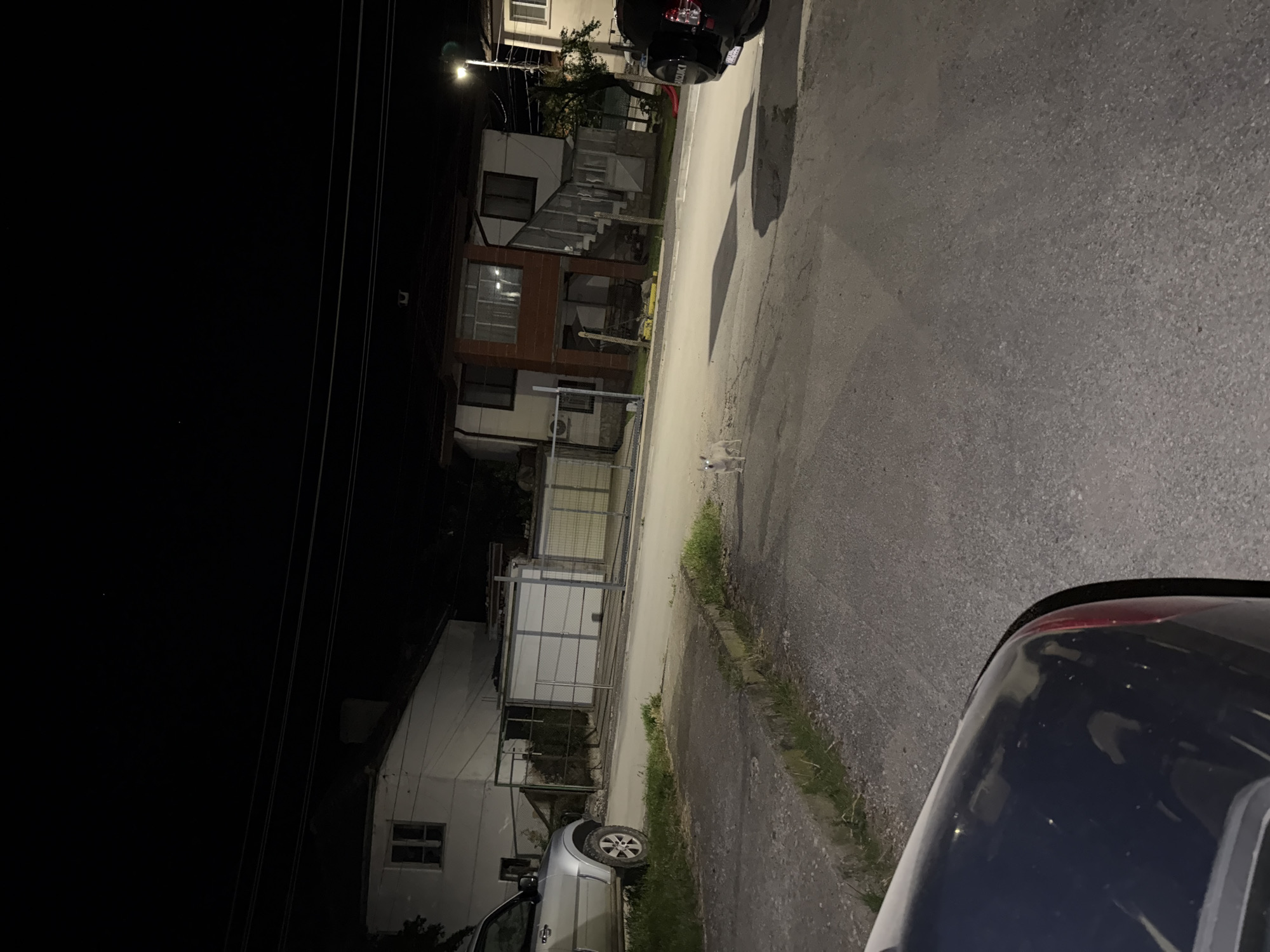 The image depicts a street scene at night in Etropole, Bulgaria. In the foreground, the rear of a dark-colored vehicle, possibly an SUV, is visible on the right. Further down the street, a small, light-colored dog is standing. On the left side of the street, a silver SUV is parked. Behind the parked vehicles and across the street, several houses are visible. The houses appear to be multi-story structures with windows and balconies. Some of the houses have outdoor staircases. A streetlight illuminates a portion of the street. Electrical wires are strung across the scene, indicating an urban or suburban environment. The ground is paved with asphalt, and there are patches of grass along the roadside. The overall impression is a quiet residential street at night.
