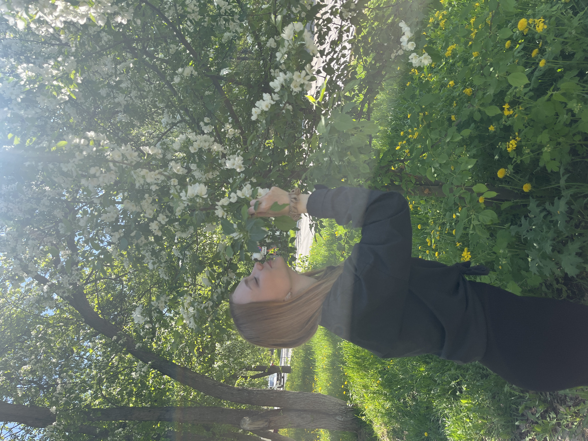 A young woman with shoulder-length light brown hair is standing outdoors in a park-like setting in what appears to be Chaikovsky, Russia. She is wearing a dark-colored, long-sleeved outfit. The woman is near a tree with dense white blossoms, holding a branch with leaves in her hand and seemingly smelling the flowers. The background features grass, yellow flowers, and other trees. A street with a vehicle and signage visible in the distance. The scene appears to be bathed in sunlight.