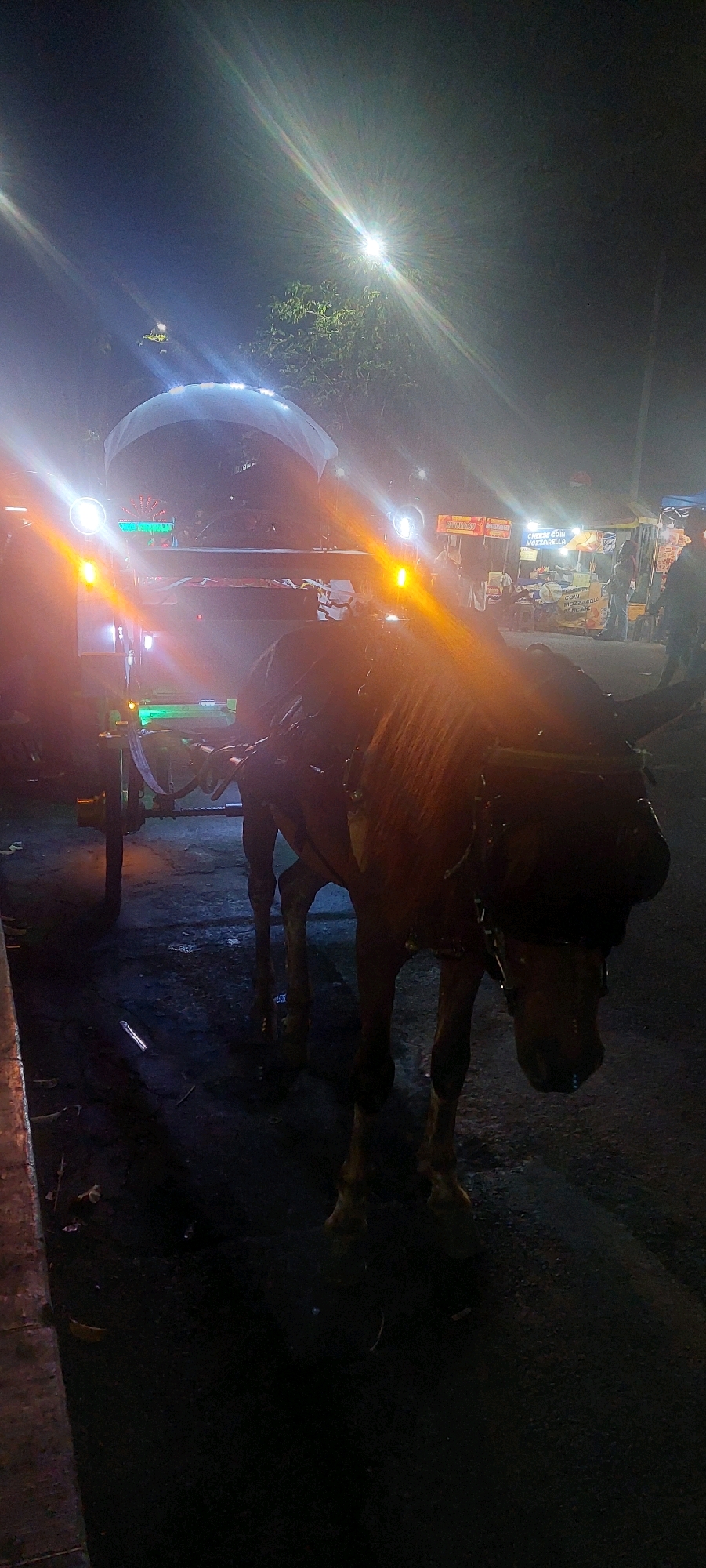 The image depicts a horse-drawn carriage at night, likely in Lumajang, Indonesia, given the context. The carriage is illuminated by bright headlights and other colorful lights. A brown horse is harnessed to the front of the carriage, its head facing downwards. The scene appears to be a street or market area with several food stalls visible in the background, suggested by illuminated signs. The overall lighting is dim, with strong highlights and lens flares from the artificial lights, creating a somewhat hazy atmosphere. The ground appears to be paved. No specific individuals are clearly discernible in detail, but the presence of people can be inferred from the background activity at the stalls.