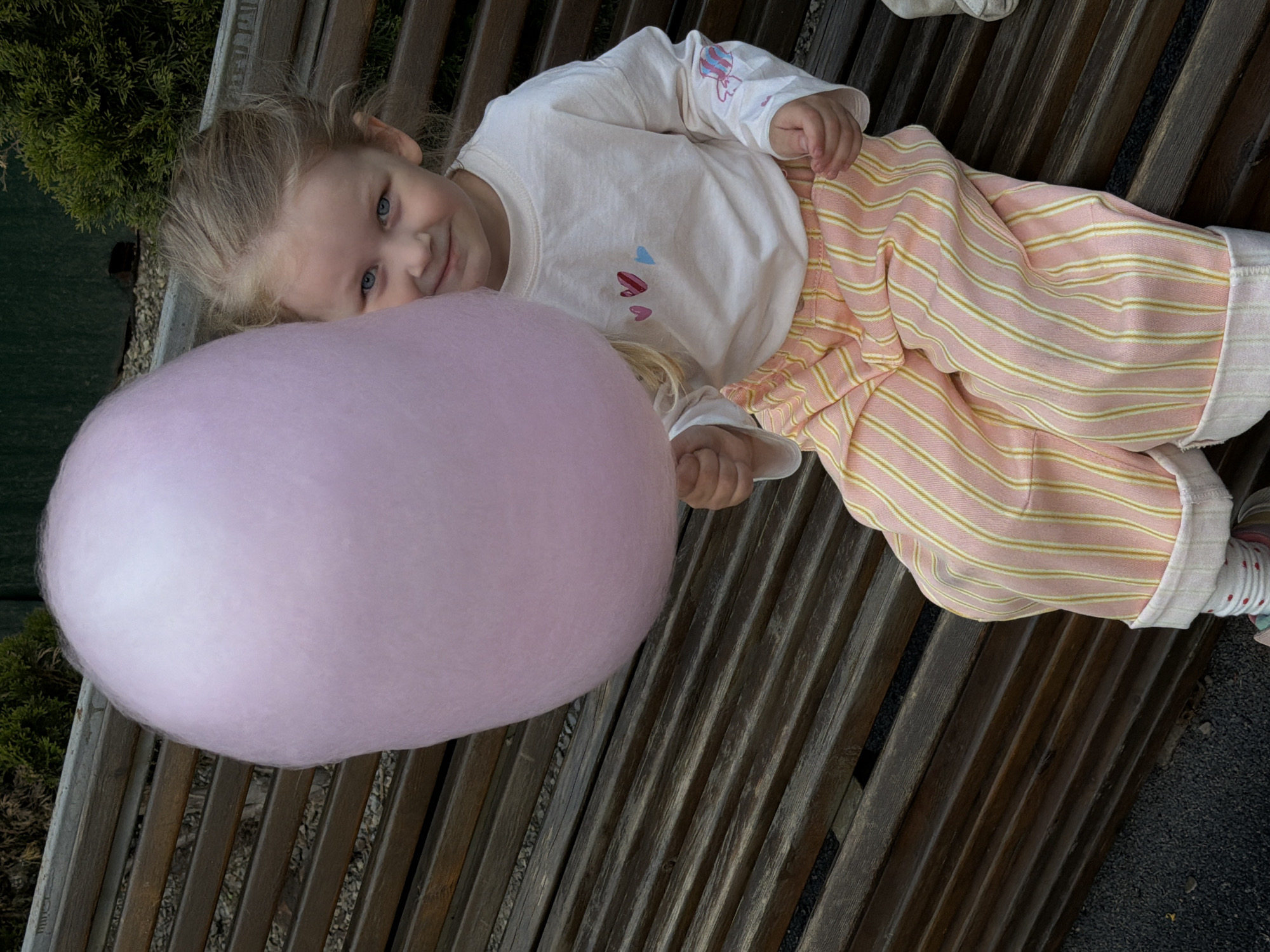 A small blonde girl with blue eyes lies on a wooden bench holding a large pink cotton candy. She is wearing a white long-sleeved shirt with small heart designs and pink and yellow striped pants. The bench is located outdoors, with green foliage visible in the background. The exact location in the city of Saratov, Russia cannot be determined from the image.