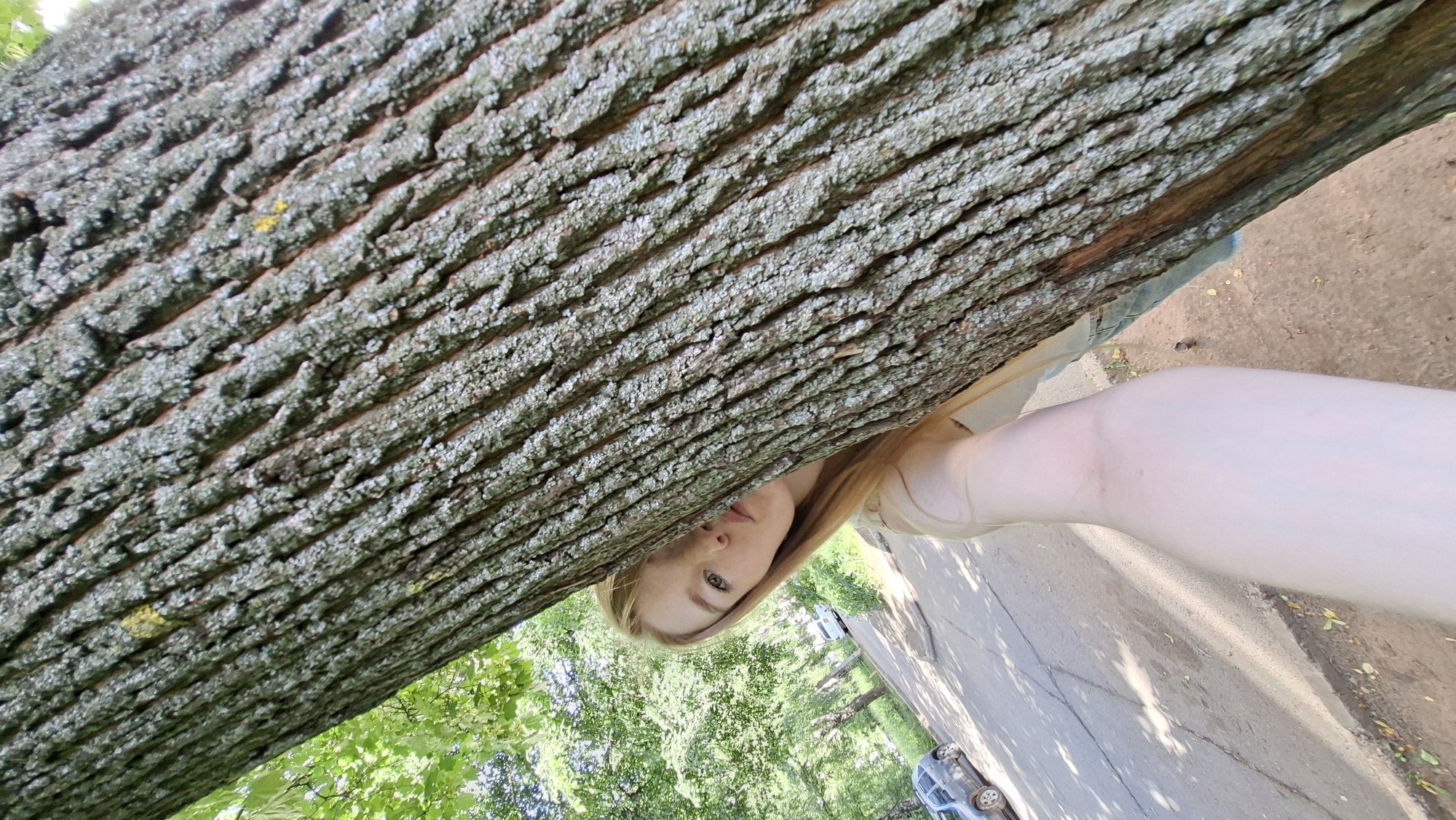 This is a vertical, low-angle selfie taken outdoors, likely on a sunny day. The foreground is dominated by the textured bark of a large tree trunk, which diagonally crosses the frame from the bottom left to the top right. Partially obscured by the tree trunk is a person, with their face and right arm visible. The person has fair skin and blonde hair, and they are looking towards the camera with a neutral expression. They appear to be wearing a light-colored top. The background reveals a scene of greenery, likely trees and foliage, and a paved area that could be a road or sidewalk. Two cars are visible in the distance, suggesting a semi-urban or suburban environment. The lighting indicates it is daytime, and the bright sunlight filtering through the leaves suggests clear weather. The overall impression is a casual snapshot taken in a natural or park-like setting within Chaikovsky, Russia. There is no visible text in the image.