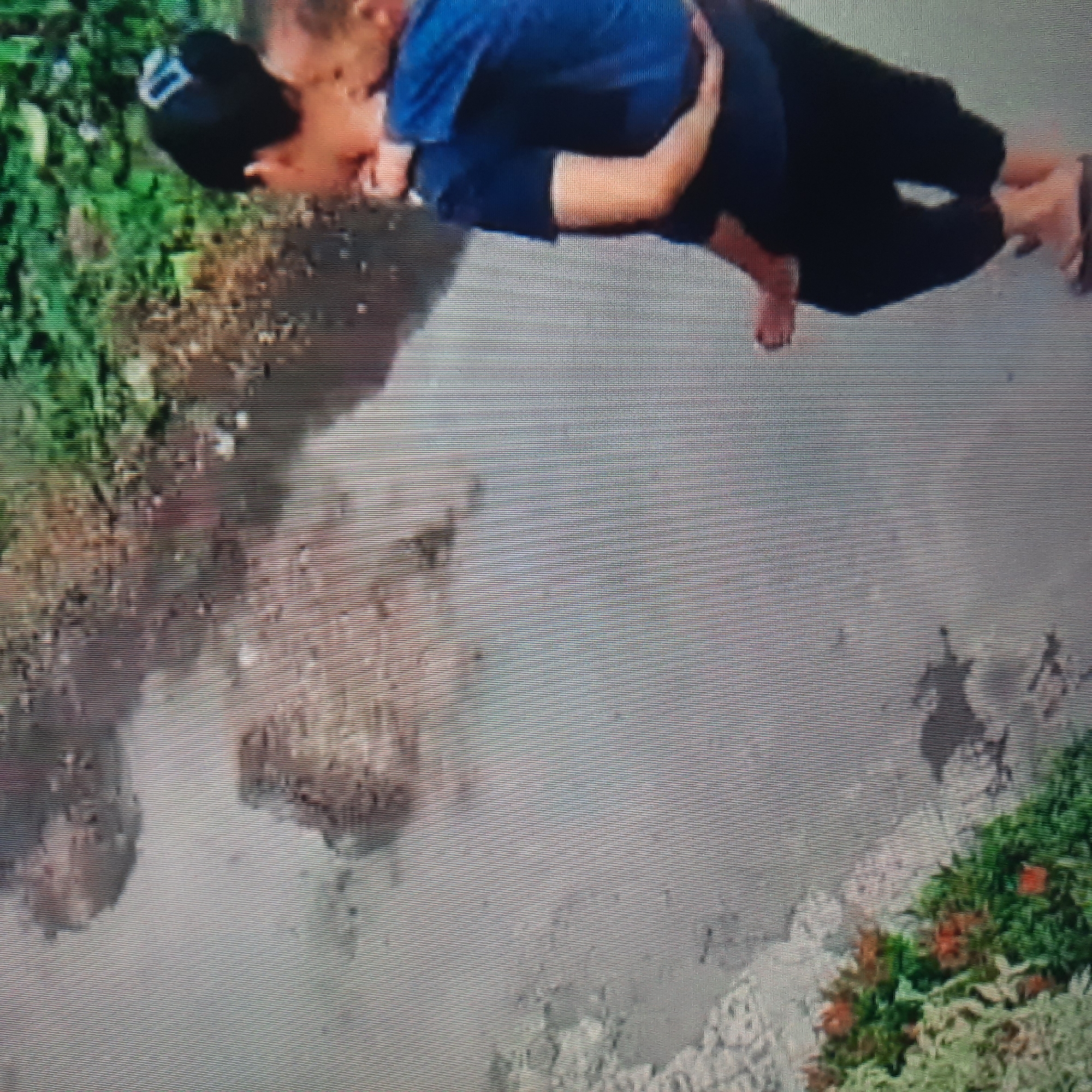 The image shows a person with a child on their back, walking along a path in a natural environment. The path appears to be unpaved and possibly muddy or dusty, with some vegetation on the left side of the frame. The person is wearing dark clothing, including pants and a t-shirt, and has their hair tied up with a blue accessory. The child is also wearing a blue garment and appears to be a toddler or infant. The background includes more greenery and what looks like dirt or soil. The image is somewhat blurry and pixelated, making it difficult to discern fine details of the surroundings or the faces of the individuals. Based on the provided location of Lemahabang, Indonesia, the scene is likely an outdoor path or rural area.