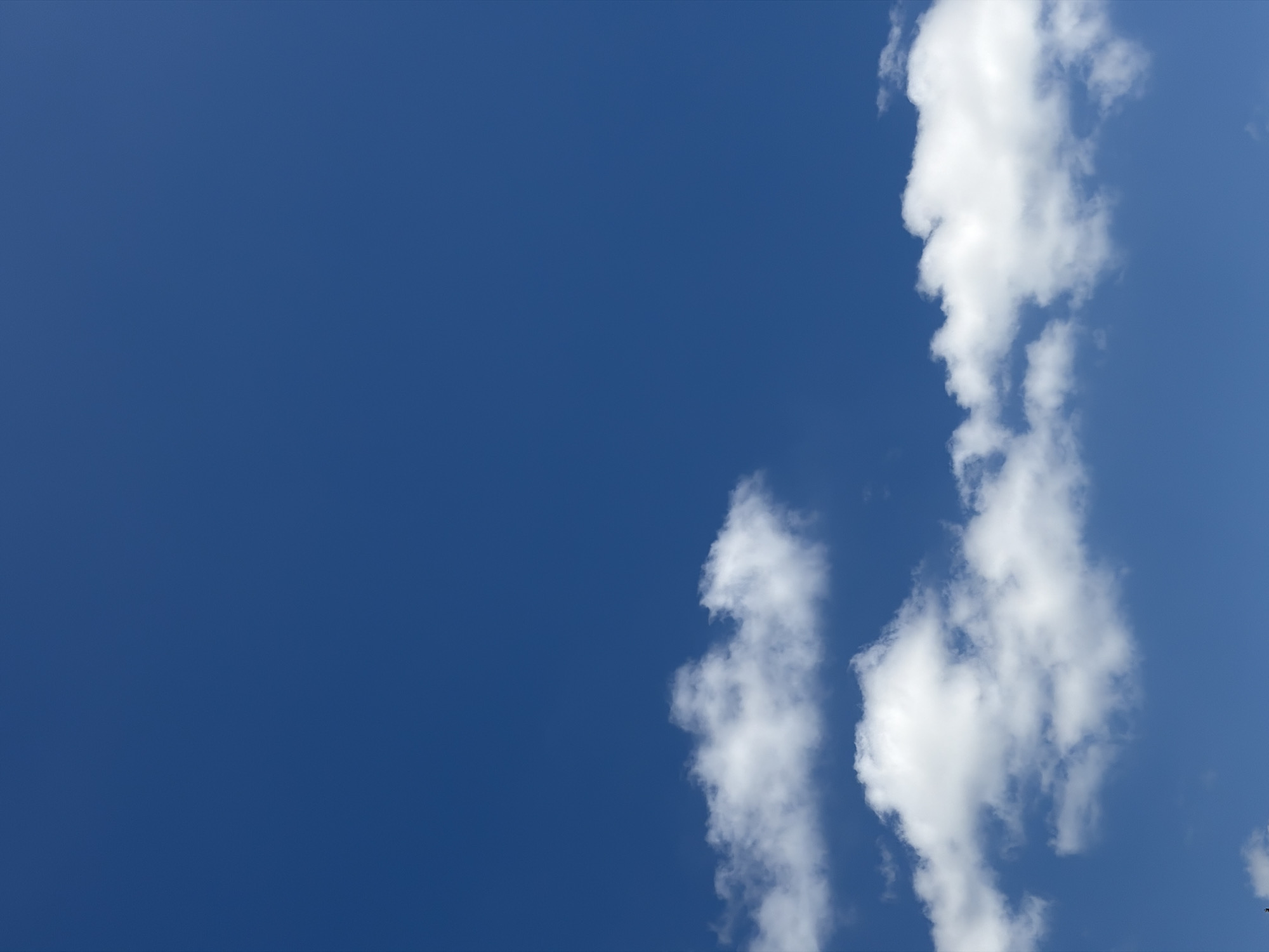 The image shows a clear blue sky with scattered white cumulus clouds. The clouds are bright and fluffy, indicating a sunny day. The lower part of the image features a bank of clouds stretching horizontally, with smaller clouds above and to the left. The scene is devoid of any man-made structures or human presence. It is not possible to determine the specific location within Grapevine, United States of America, from the provided image.
