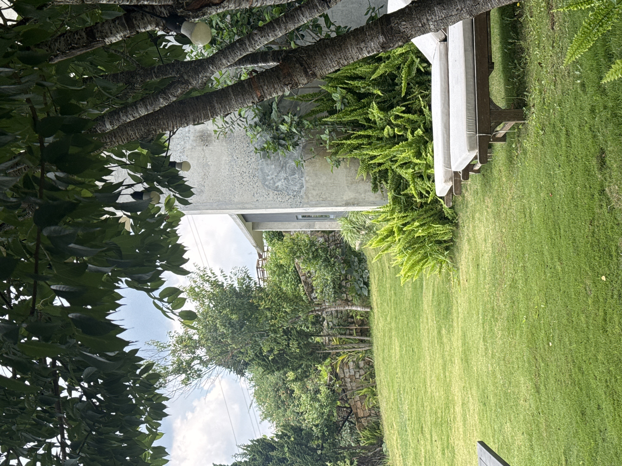 In Đa Lộc, Vietnam, a serene outdoor scene unfolds. The image captures a lush green lawn leading towards a modern building with a textured gray exterior wall. Two white chaise lounges with wooden frames are positioned on the grass, inviting relaxation. The foreground is dominated by the verdant lawn, with a glimpse of a dark wooden table edge on the left. Behind the lounges, a dense cluster of vibrant green ferns adds a tropical touch.
Further in the background, a stone wall separates the manicured lawn from a more naturalistic landscape featuring various trees and shrubs. The sky above is partly cloudy, with a soft daylight illumination suggesting it could be daytime. The environment is tranquil and appears to be a private residence or a resort area, emphasizing a peaceful and natural setting. The presence of outdoor lighting fixtures, small bulbs hanging from tree branches, suggests the space is also designed for evening use.