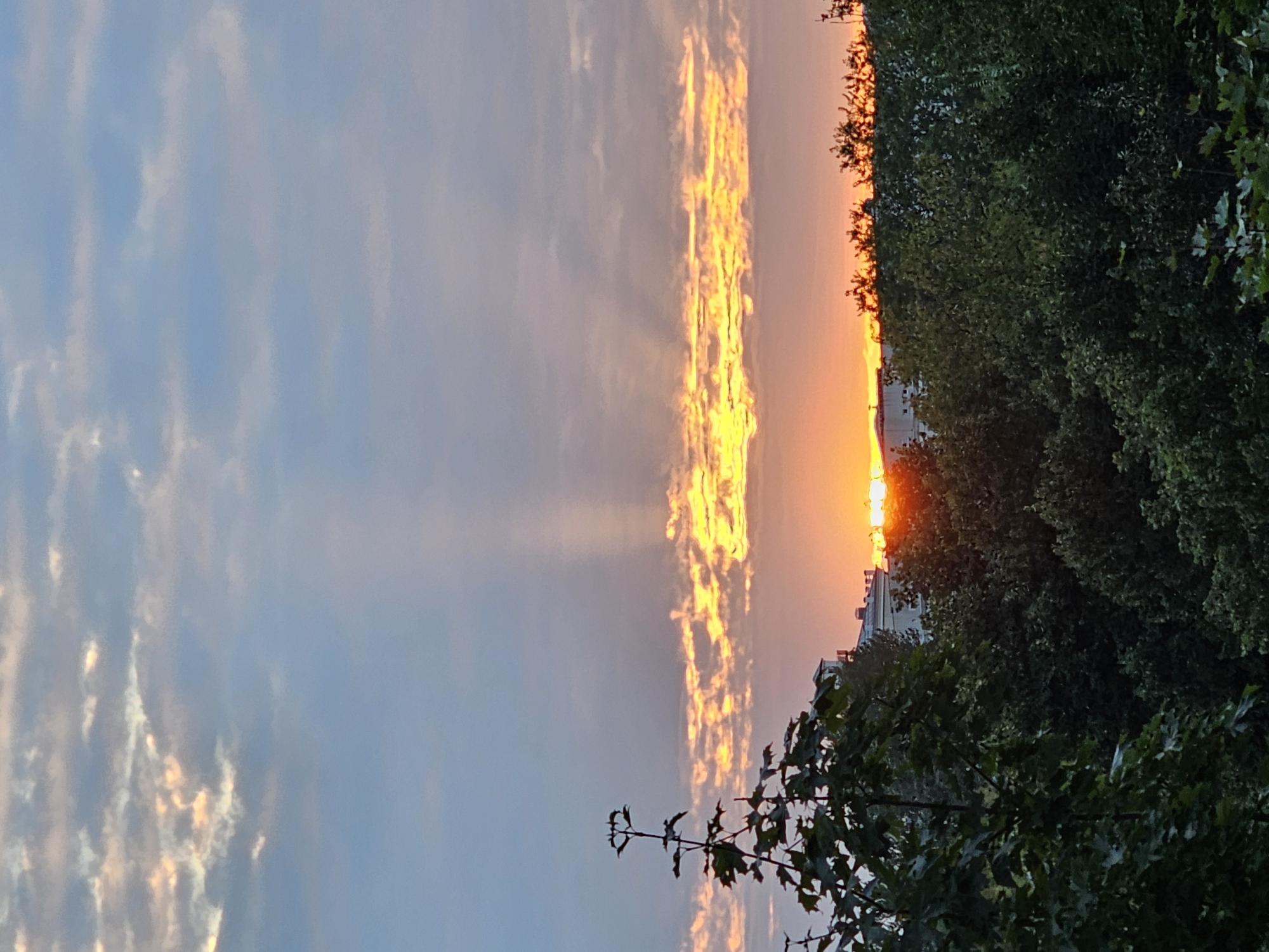 A sunset scene unfolds over the city of Khimki, Russia, with the sun partially obscured by trees and buildings. The sky displays a gradient of colors, transitioning from a light blue at the top to warmer orange and yellow hues near the horizon. Streaks of sunlight, or crepuscular rays, radiate upwards from behind a bank of clouds that are illuminated by the setting sun. In the foreground, the dark silhouettes of trees and foliage are prominent, with a building with a light-colored facade visible behind them. The overall atmosphere is tranquil, with the vibrant sky contrasting with the darker foreground elements.