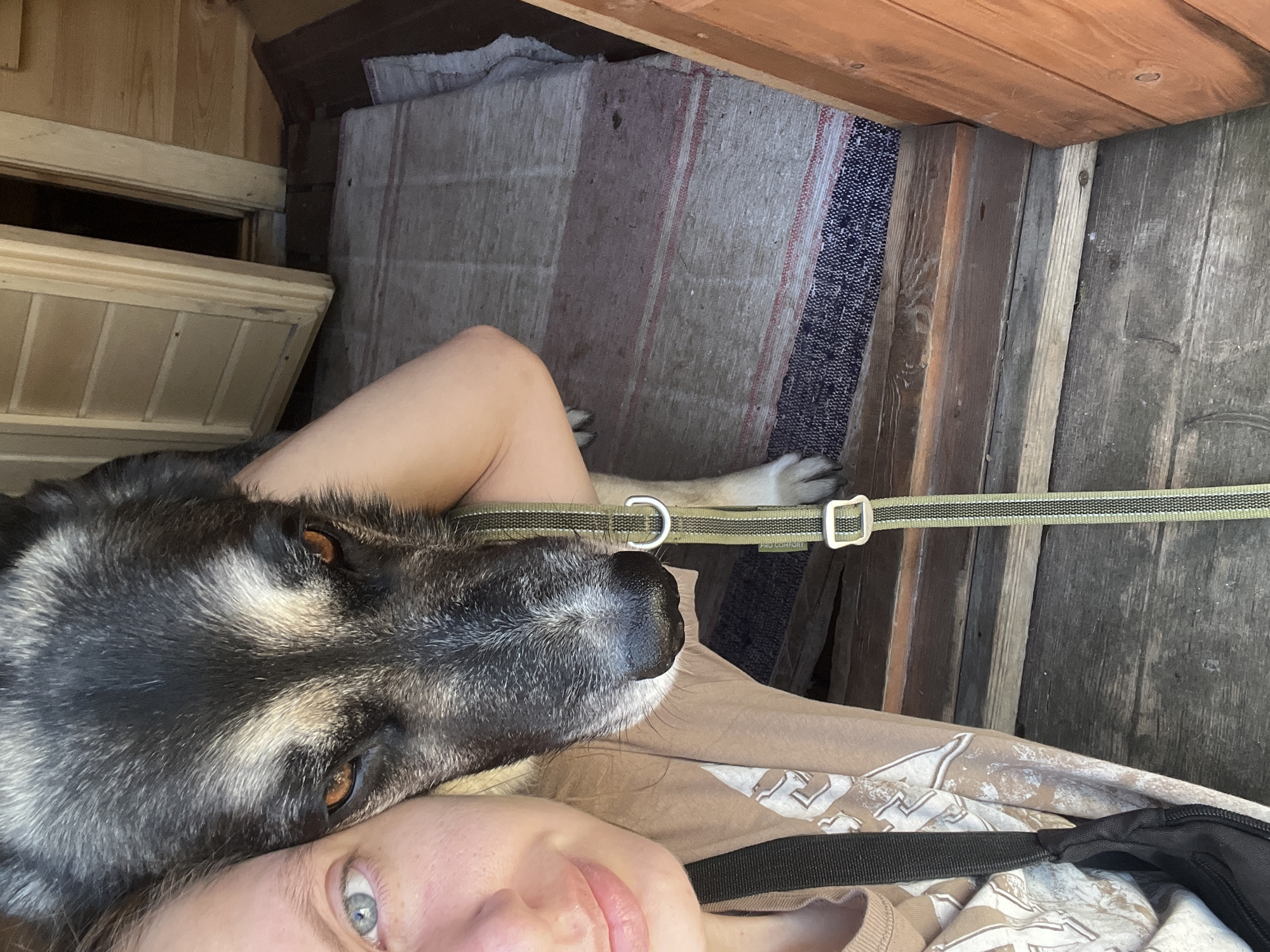 A selfie taken from a low angle shows a person and a dog. The person's left eye, with a blue iris, is visible on the left side of the frame, and their mouth is slightly open. A large dog's head rests on the person's shoulder, obscuring most of the person's face. The dog has dark fur with lighter tan markings around its eyes and muzzle, and its amber eyes are looking forward. A green and black striped leash is draped around the dog's neck and extends down towards the bottom of the frame. The person is wearing a tan t-shirt with a graphic print and a black bag is partially visible over their shoulder.
The background consists of an outdoor setting with wooden structures. To the right, a doorway with a light-colored, partially open wooden door reveals a dark interior space. The ground is covered with a striped rug laid over wooden planks. The overall scene suggests a casual moment shared between a person and their pet, likely in a rural or semi-rural environment. There are no identifiable landmarks or specific environmental cues to pinpoint the location within Nizhny Tagil, Russia.