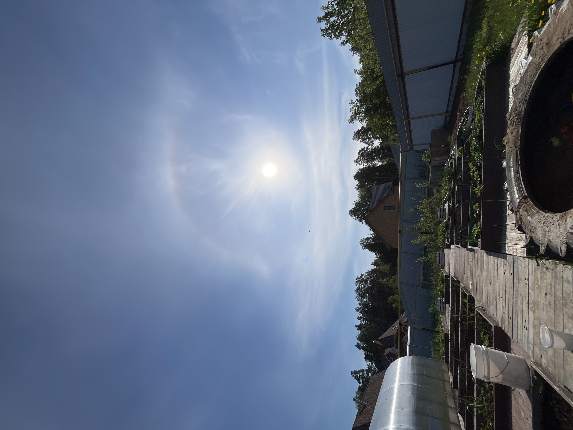 The image shows an outdoor scene in Chaikovsky, Russia on a sunny day. The sky is blue with thin clouds and a visible 22° halo around the sun. A wooden walkway or path runs through a garden area with raised garden beds containing plants. Adjacent to the garden is a fence and some buildings. A large tire or circular structure is visible at the edge of the image. Various objects, including buckets and a large silver tank, are positioned along the walkway. No people are visible in the image.
