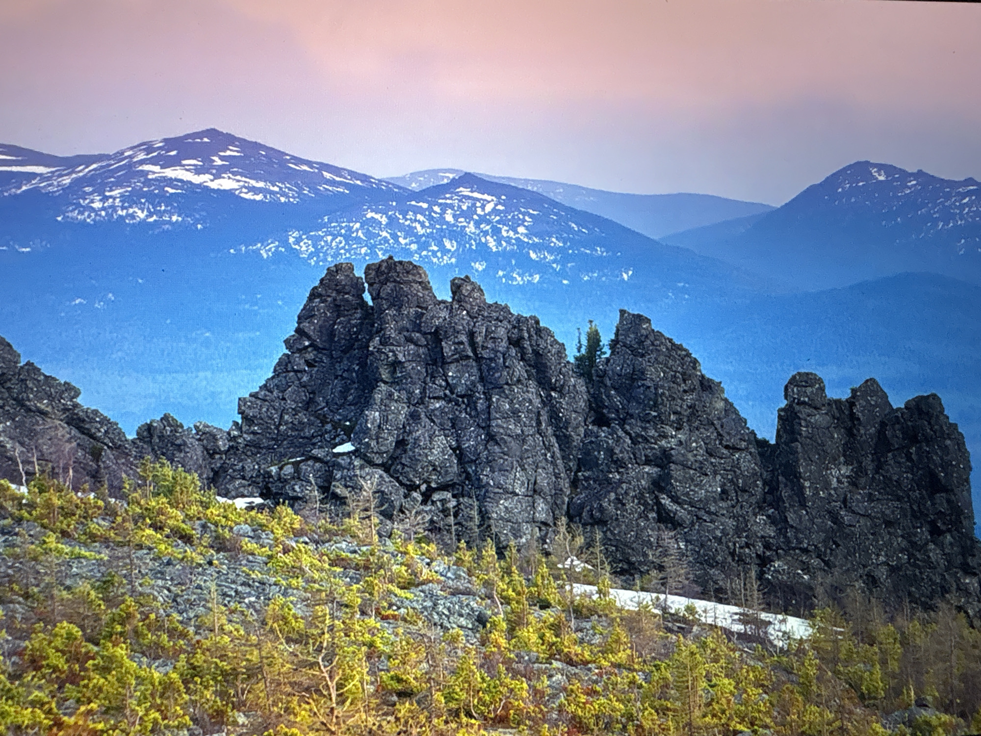 The image shows a mountainous landscape. In the foreground, there are rocky outcrops with sparse vegetation of small green and yellowish bushes. Behind these rocks, there are layers of blue-tinted mountains, some with patches of snow. The sky is a pale pink/blue hue. There is no evidence of the location being in Mława, Poland.