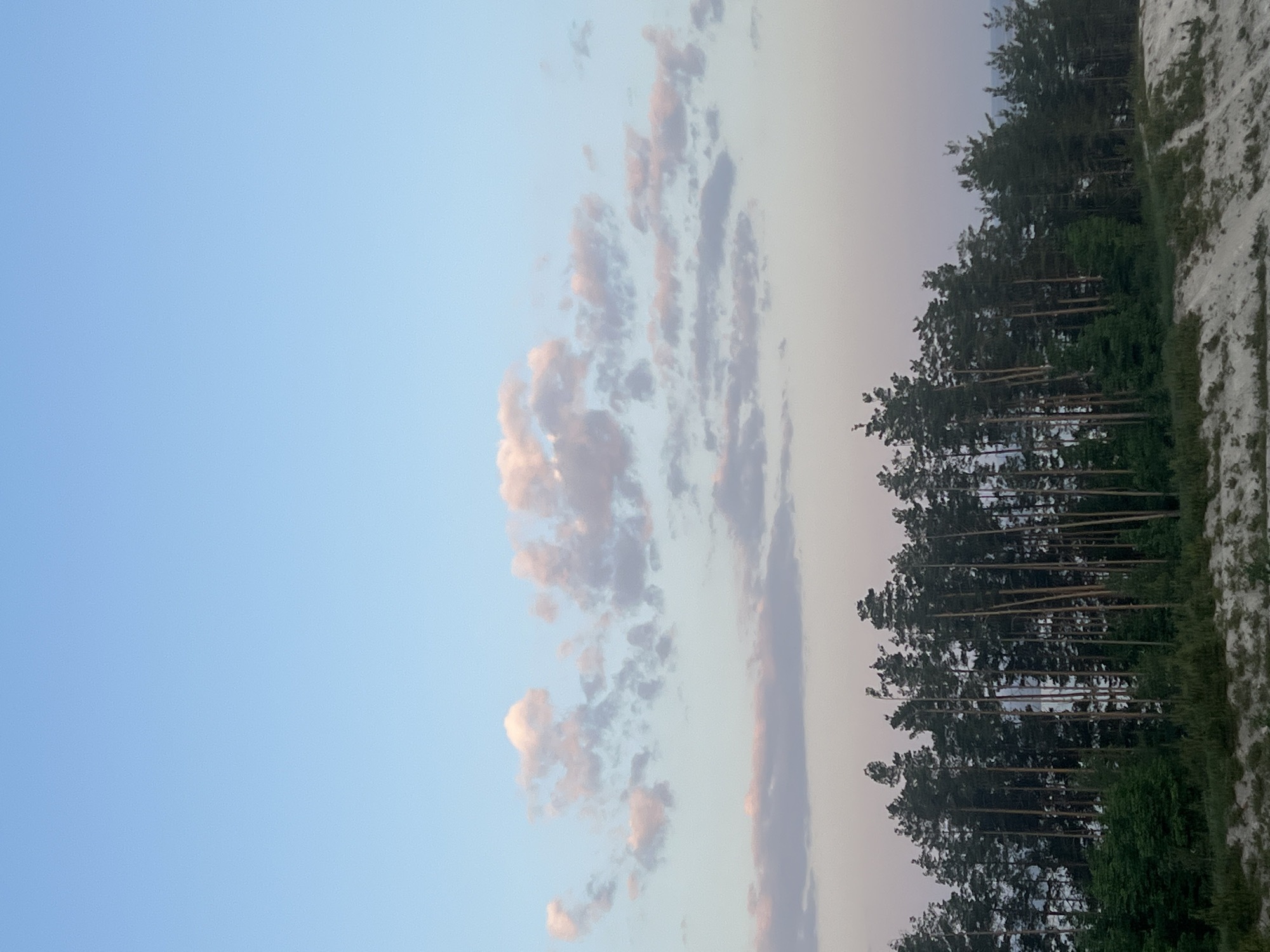 The image shows a view of the sky and trees, likely taken in a natural setting. The sky is a gradient of blue and light pinkish-grey, with elongated, scattered clouds tinged with pink. On the right side of the image, there's a line of tall, dense trees that stretches upwards, forming a dark green contrast against the lighter sky. A light-colored, possibly sandy or grassy area can be seen adjacent to the trees. The image's orientation is vertical, with the elements tilted to the right. No people are visible in the image. There is no information to support the location being Khvalynsk, Russia.