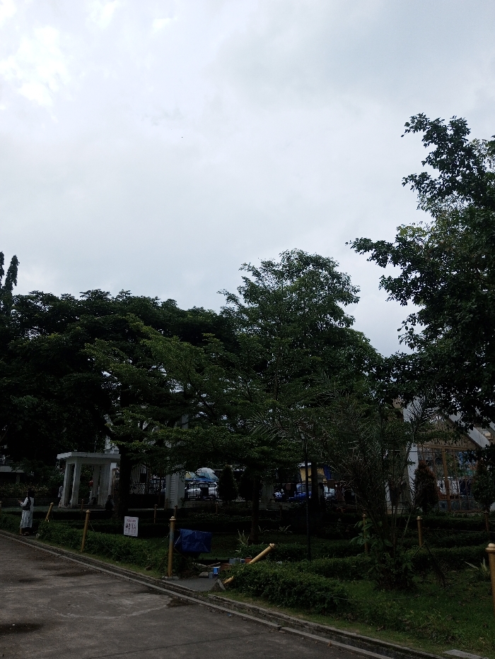 The image displays an outdoor scene in Daringbadi, India, under an overcast sky. The upper portion of the frame features a uniform light grey sky. Below, dense green tree canopies, including a palm-like tree on the right, occupy the middle ground and background. A grey paved pathway, exhibiting damp patches, runs across the lower foreground, bordered by a concrete curb and a landscaped grassy area. Multiple gold-colored poles are positioned along the path's edge and within the grassy sections.
In the mid-ground on the left, a white, open-sided gazebo with supporting pillars is visible. To the right of the gazebo, a blue tarp is present on the ground within a manicured garden section, alongside segments of what appears to be broken bamboo or wood. A partially visible white sign with dark text stands nearby. In the background on the right, a building with a peaked roof and large, segmented windows is discernible. Additional indistinct structures and vehicles are partially visible in the central background. One individual, dressed in a long, light-colored garment, stands on the paved path on the far left. Faint human figures are present further in the background. The scene is illuminated by diffused daylight.