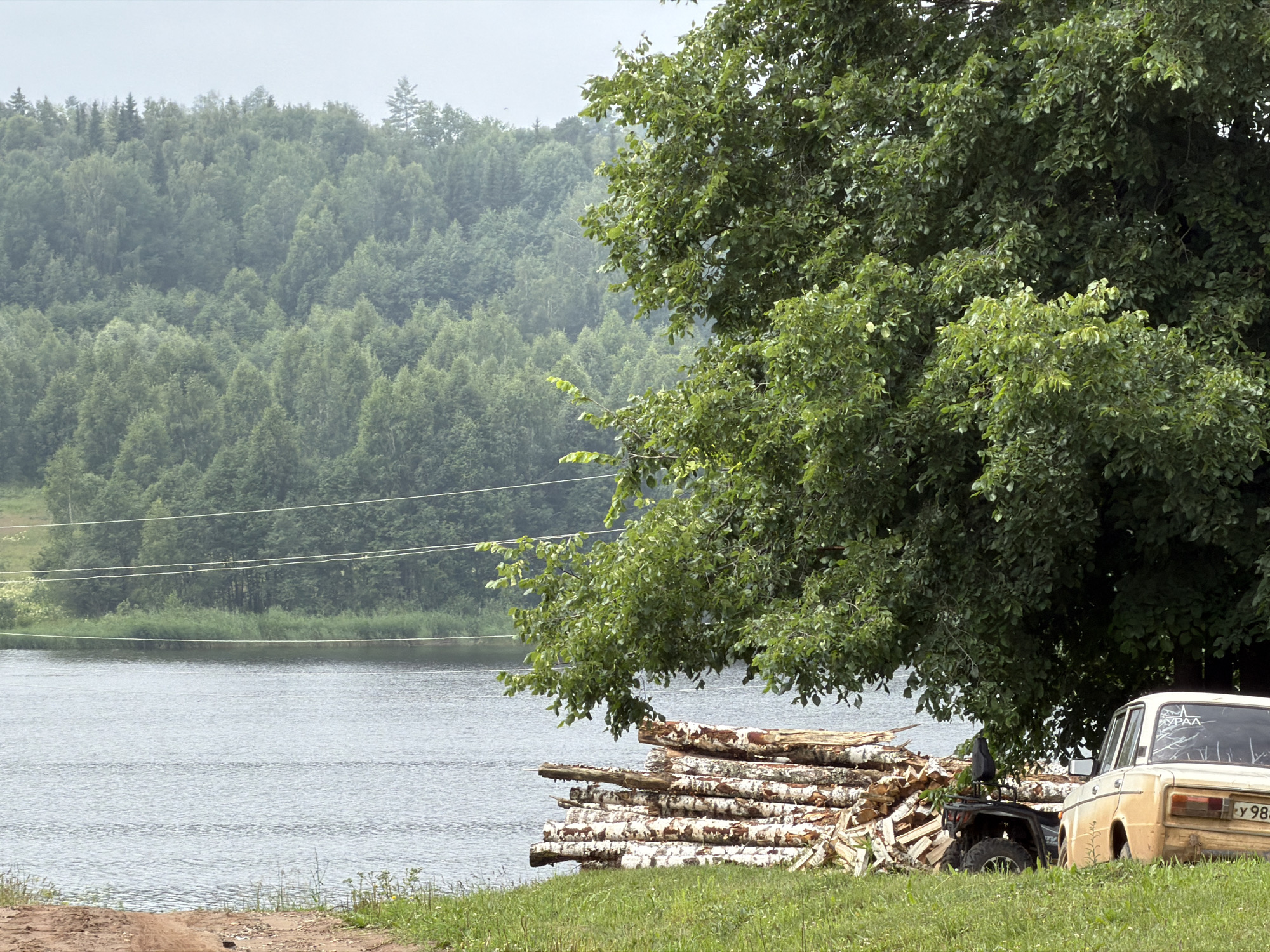 In the city of Uralskoye, Russia, on an overcast day, a scene unfolds by a tranquil body of water. The foreground is a grassy slope leading down to a dirt path, with scattered blades of grass and a few small weeds. To the right, a pile of freshly cut birch logs rests on the ground, their white bark peeling in places. Beside the logs, a light-colored, mud-splattered sedan is parked, its rear visible, displaying a license plate that reads "y98". A black ATV is also partially visible behind the logs. Beyond the immediate foreground, the water of a lake or river stretches out, its surface rippling gently. In the background, a dense forest of green trees covers a hillside, with a hazy, muted sky overhead. Several power lines are strung across the landscape in the middle ground, partially obscured by the foliage. The overall impression is one of rural remoteness, with elements of both nature and human activity present in the scene.