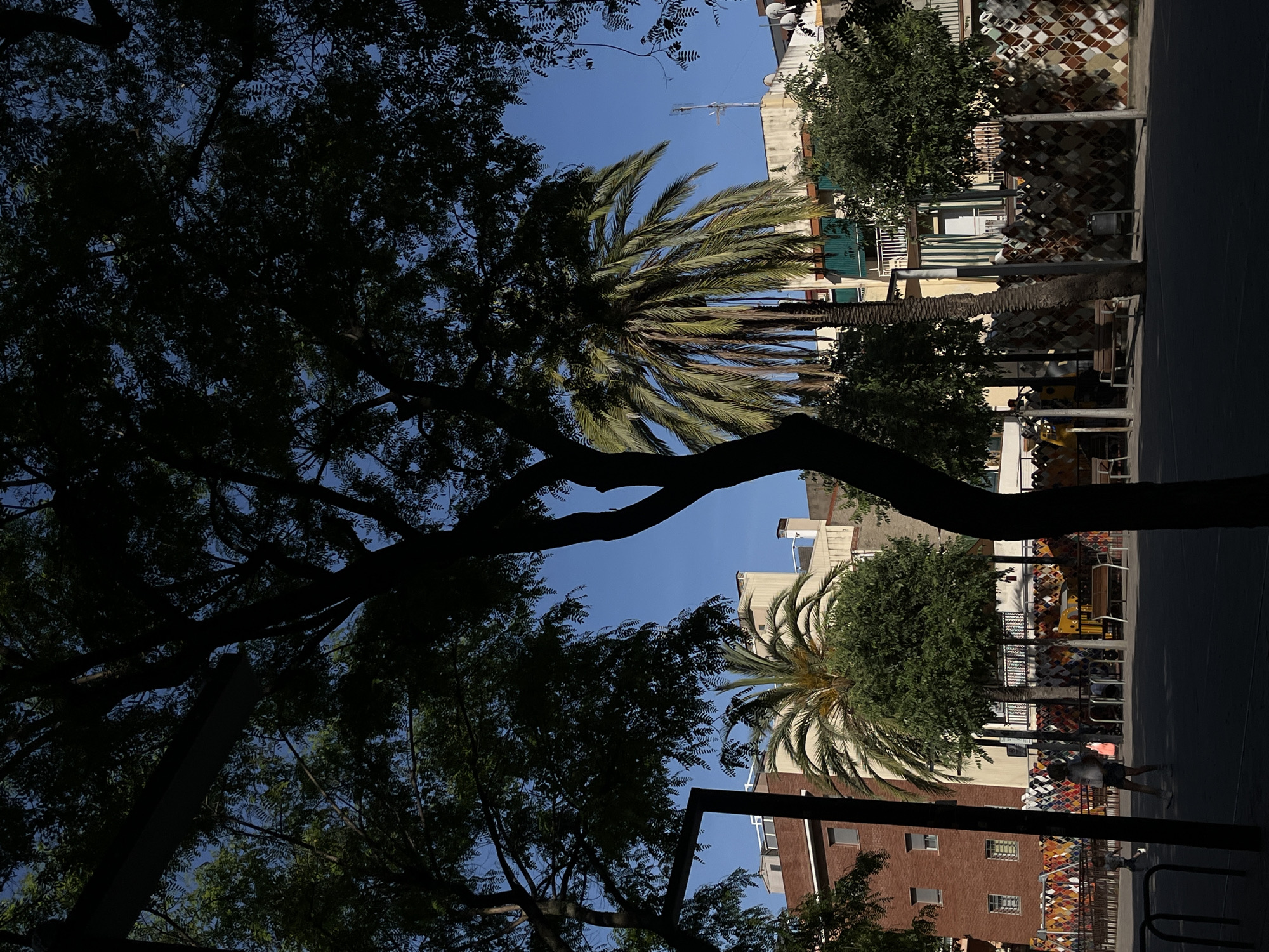 A street scene is visible in the city of Unknown, Unknown. A palm tree is visible with its leaves spread open. There is a large leafy tree visible. Buildings are visible with tile patterns. A street is visible with people standing on it.