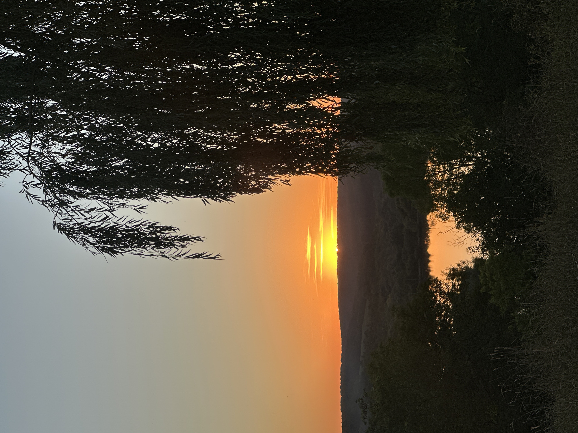 This image captures a serene sunset over a rural landscape, likely in or near the city of Makiv, Ukraine. The sun, a bright orb on the horizon, casts a warm orange glow across the sky, illuminating the clouds with soft hues of yellow and orange. Silhouetted against this vibrant backdrop are rolling hills covered in dense vegetation, their shapes softened by the fading light. A body of water, possibly a lake or river, reflects the fiery colors of the sunset, creating a shimmering, golden surface. In the foreground, the dark, drooping branches of a large tree, possibly a willow, frame the scene, their leaves creating a lacy pattern against the illuminated sky. The overall impression is one of tranquility and natural beauty as day transitions into night.