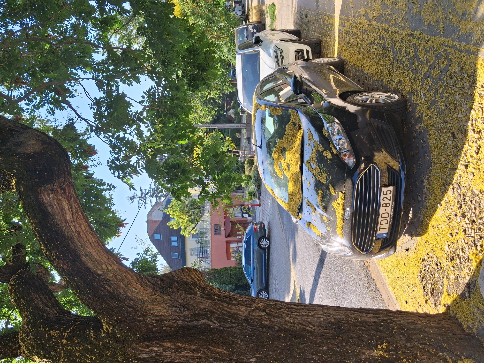 In Budapest, Hungary, a sun-drenched street scene unfolds, dominated by a large, gnarled tree in the foreground casting dappled shadows. The pavement and the hoods of parked cars are liberally covered in a carpet of bright yellow petals, suggesting a recent bloom or falling debris from the tree. A black hatchback, with the license plate TDD-825, is prominently parked on the right side of the street. Behind it, a white SUV and other vehicles are lined up along the curb. In the background, a building with a red facade and multiple windows is visible, hinting at residential or commercial use. The environment is clearly urban, with paved roads, sidewalks, and trees lining the street, indicative of a typical neighborhood in the city. The sky is a clear, bright blue, underscoring the sunny weather. There are no people visible in the frame.
