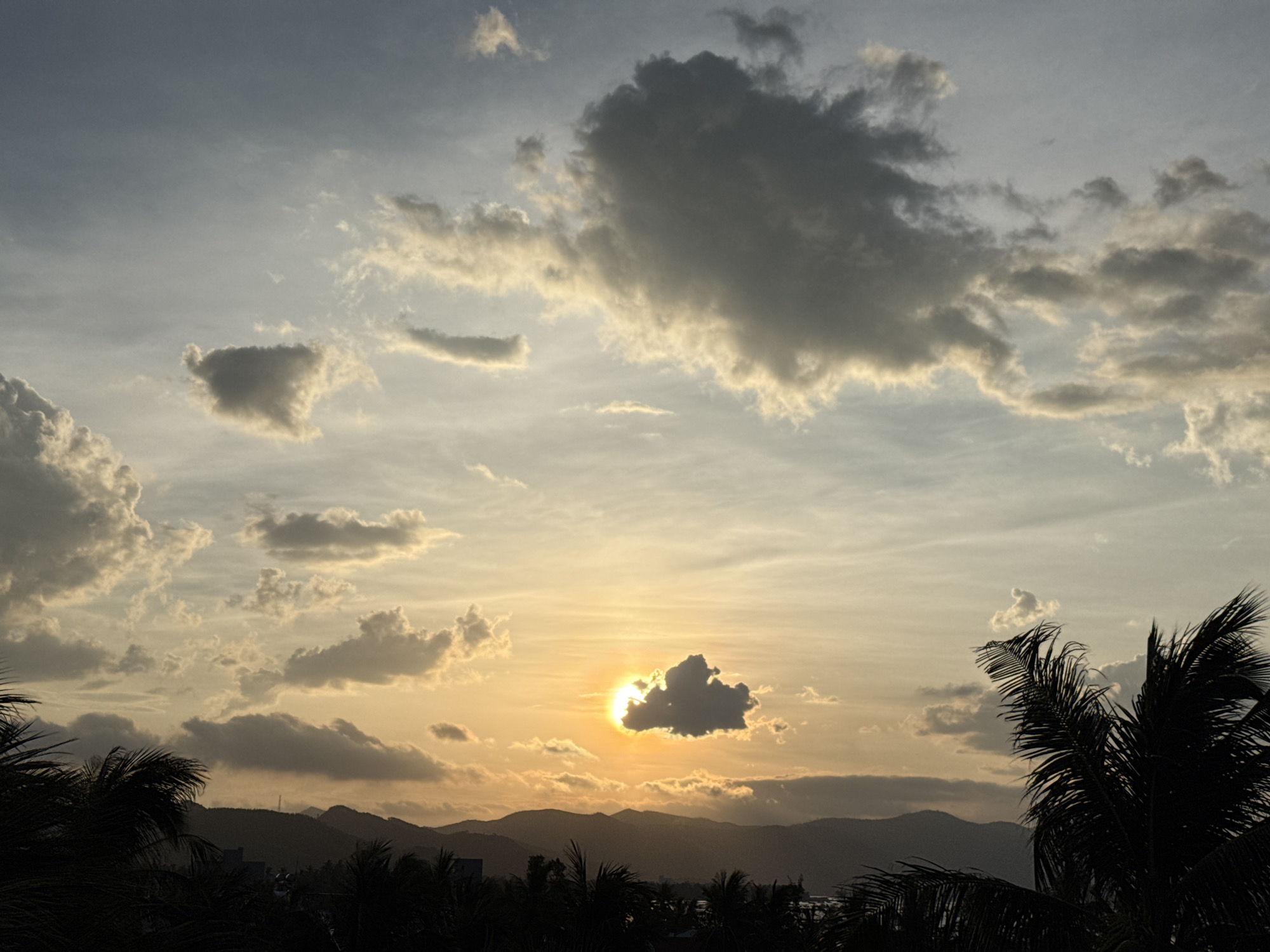 The image captures a sunset over the coastal city of Song Cau, Vietnam. Silhouetted palm trees dominate the foreground, their fronds stark against the warm, hazy sky. In the middle ground, a range of dark, undulating mountains forms a natural backdrop, with a few indistinct buildings nestled at their base. The sky itself is a canvas of shifting colors, with a bright, low-hanging sun partially obscured by a dark, cloud-like formation. Lighter, scattered clouds drift across the expanse, illuminated by the golden rays of the setting sun, casting a soft glow on the scene. The overall atmosphere is one of natural beauty and tranquility, with the elements of nature taking center stage.