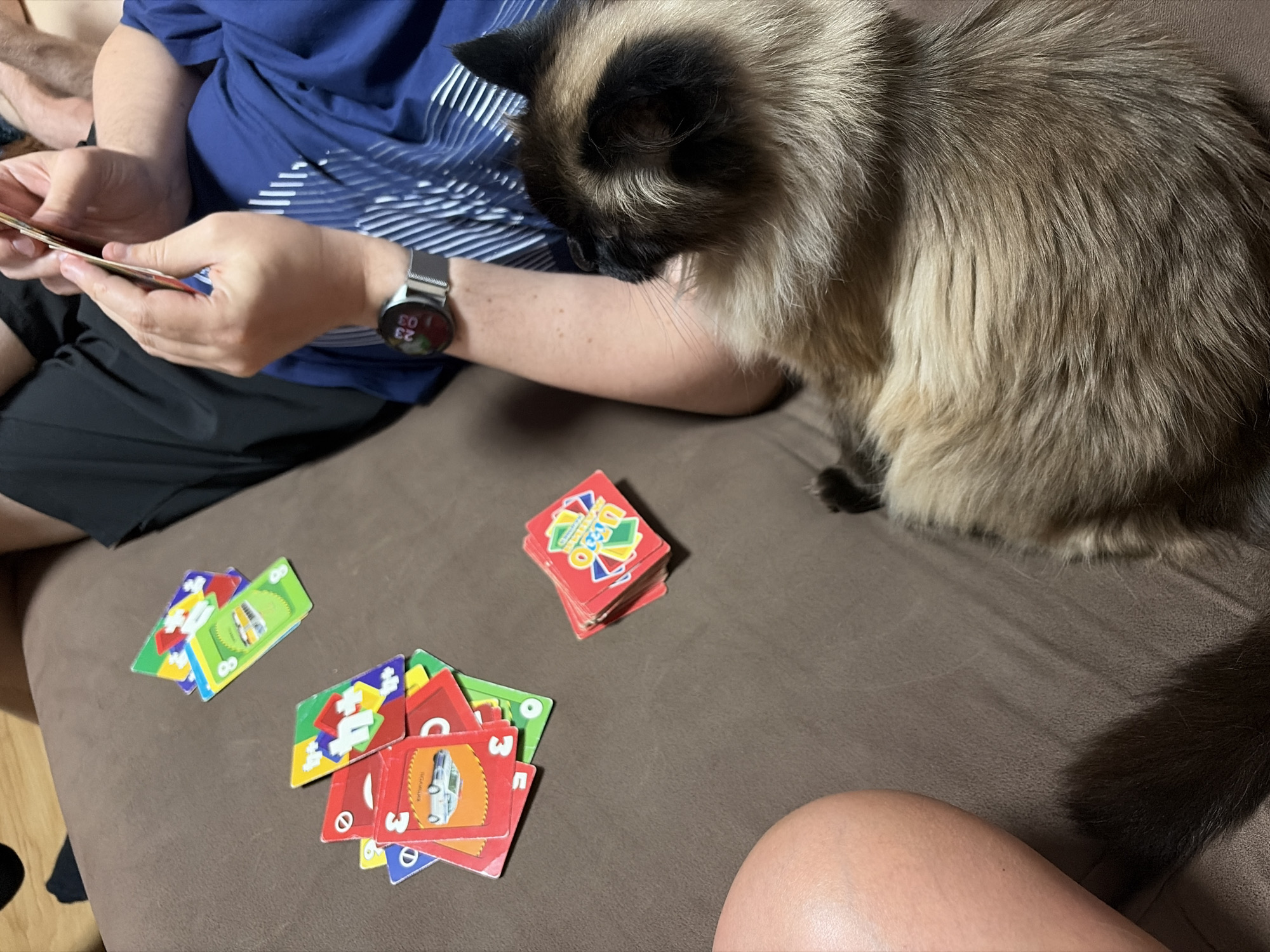 A person's hands hold a deck of cards as they play a game on a brown, textured surface, possibly a sofa. Scattered around are several playing cards, predominantly red and green, with visible numbers and symbols like "3" and "8". A silver smartwatch with a red digital display showing "23 03" is worn on the person's left wrist. A Siamese cat with light brown and cream fur rests on the person's lap, facing to the right. The background is out of focus, showing a hint of dark fabric, likely clothing. The scene is indoors and appears to be a casual setting for a card game. There is no information about the location in Chaikovsky, Russia.
