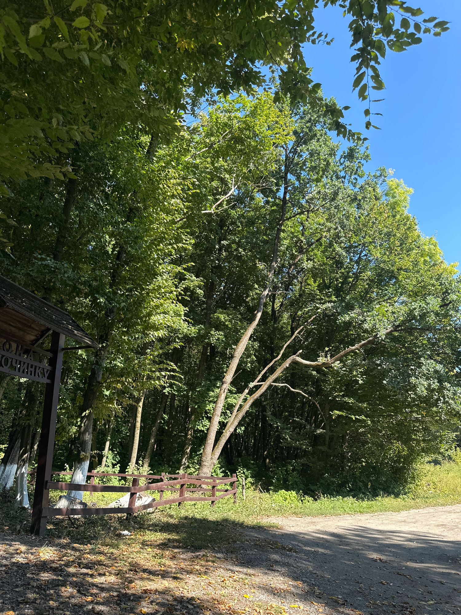 The image depicts an outdoor scene in Shatava, Ukraine, featuring a wooden structure on the left with some text visible, likely indicating a place name. The structure is partially shaded by lush green trees. In the background, a dense forest stretches, with sunlight filtering through the leaves. A wooden fence encloses a grassy area with some fallen leaves scattered on the ground. A dirt path curves into the frame from the lower right, indicating a rural or park-like setting. The sky is clear and blue.