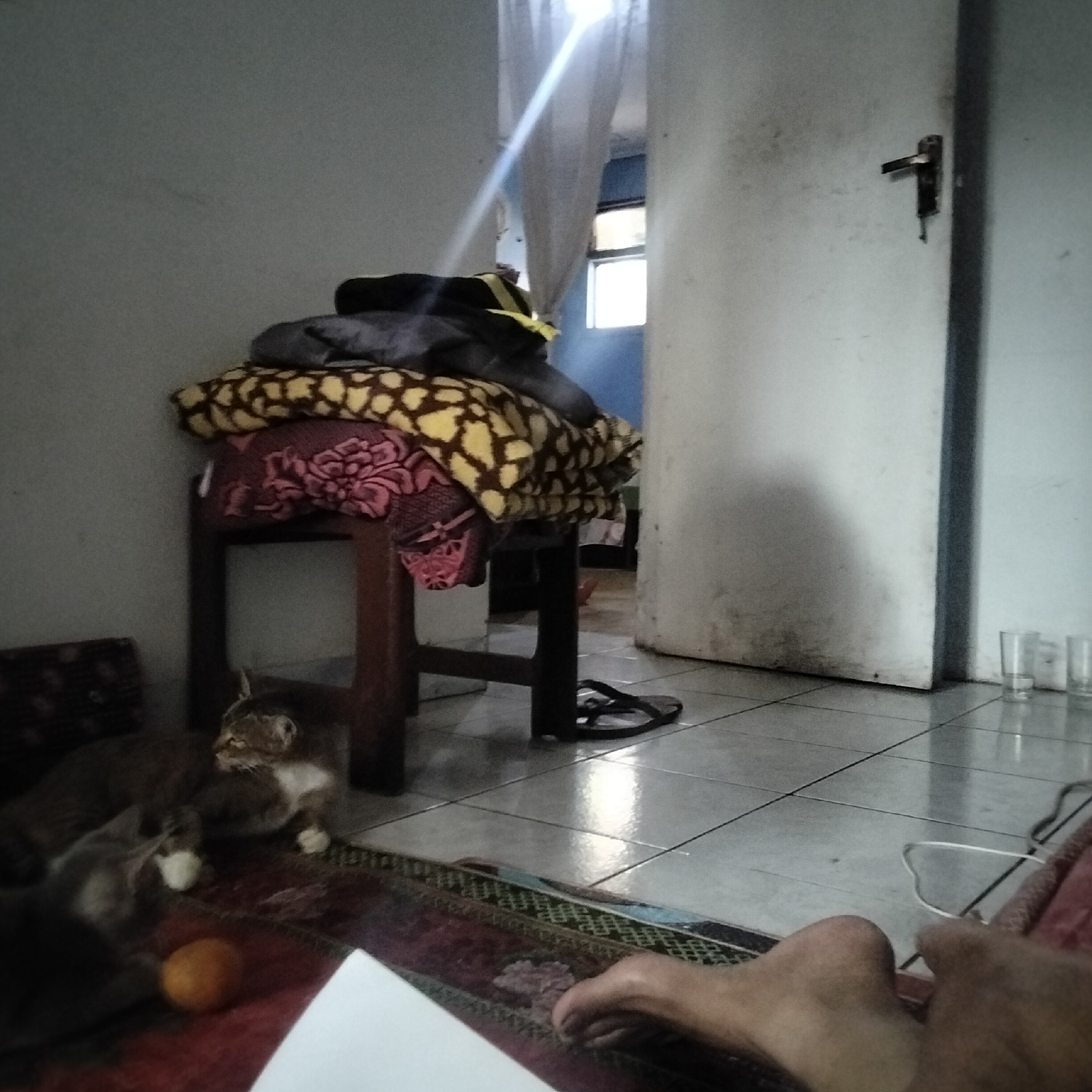 The image depicts an indoor scene that appears to be a room in a residential dwelling in Cisaat, Indonesia. The floor is tiled, and a doorway is visible on the right side of the frame, leading to another area. To the left of the doorway, a stack of folded blankets and pillows rests on a wooden stool. Two cats are present on a rug in the foreground. One cat is a tabby with white markings, and the other is a smaller, grey cat. An orange object, possibly a fruit or toy, lies on the rug near the cats. A person's bare foot and leg are visible in the lower right portion of the image, suggesting they are seated on the floor. Additionally, a pair of flip-flops is on the floor near the stool. In the background, a window with sheer curtains is illuminated by sunlight, casting a bright ray into the room. Several clear glasses are also visible on the floor near the doorway. The overall impression is of a casual, lived-in domestic space.