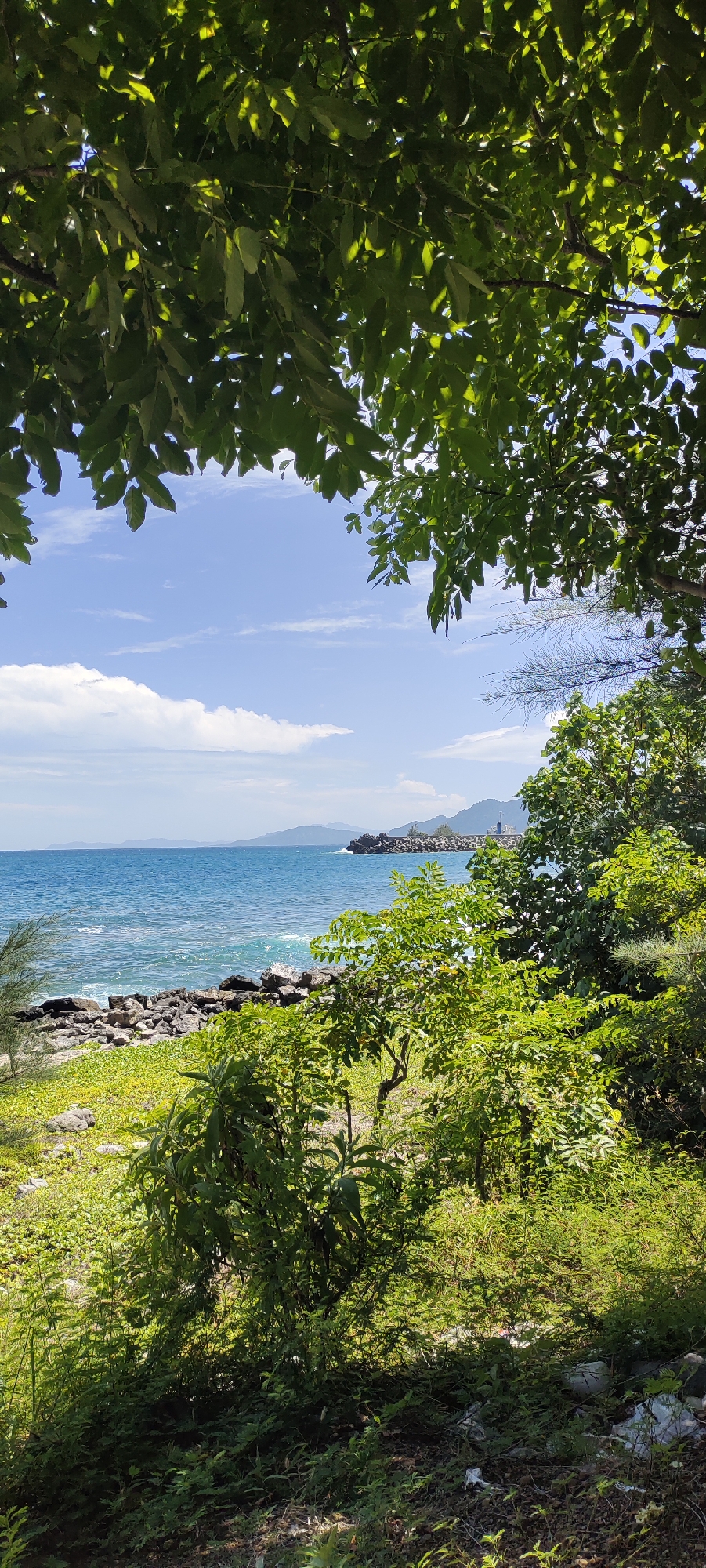 The image depicts a coastal scene on a clear, sunny day, framed by lush green foliage. The foreground is dominated by dense green vegetation, with some areas of lighter green ground cover. Beyond the vegetation, a rocky shoreline meets a body of blue water, which exhibits gentle waves. In the distance, a breakwater or pier structure juts out into the sea, with a few small buildings or structures visible on it. Further in the background, a hazy mountain range stretches across the horizon under a light blue sky with scattered white clouds. The location is identified as Naga Umbang, Indonesia. There are no people visible in the image. The scene is natural and serene, with the exception of some visible litter within the vegetation in the lower right portion of the frame.