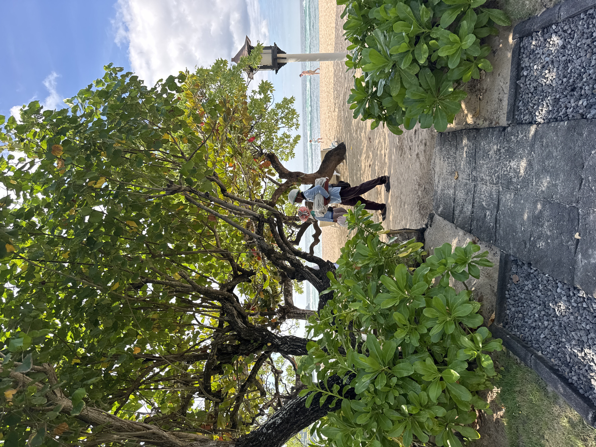 The image shows a view towards the beach in Kuta Selatan, Indonesia. A large tree dominates the left side of the frame. A man wearing a blue shirt, dark pants, and a hat walks right behind the tree with another person. He appears to be carrying items with him. A pathway made of dark stones or concrete leads towards the sandy beach. On the right of the path are dense green bushes. In the background, a person is seen walking on the beach near the ocean. A tall lamp post is visible behind the tree. The sky is light blue with some white clouds.