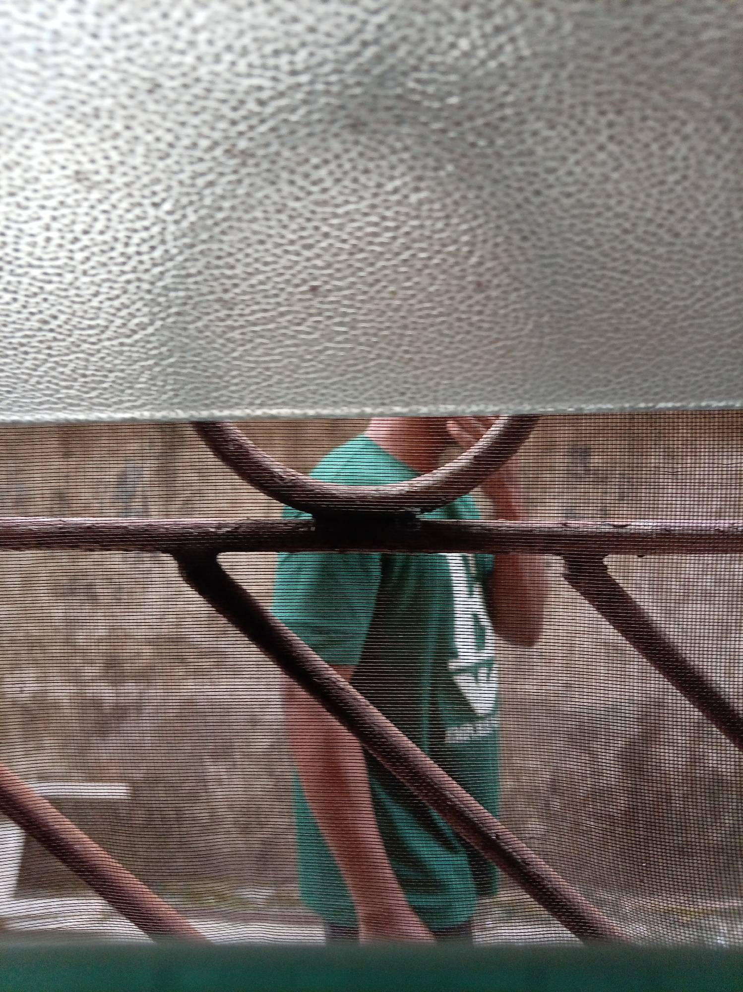 The image shows a person standing behind a wire mesh fence. The person is wearing a green t-shirt with a white design. The background appears to be a building with a textured wall. The upper portion of the image is a blurred, textured surface, possibly a ceiling or roof. The location is in Owerri, Nigeria.