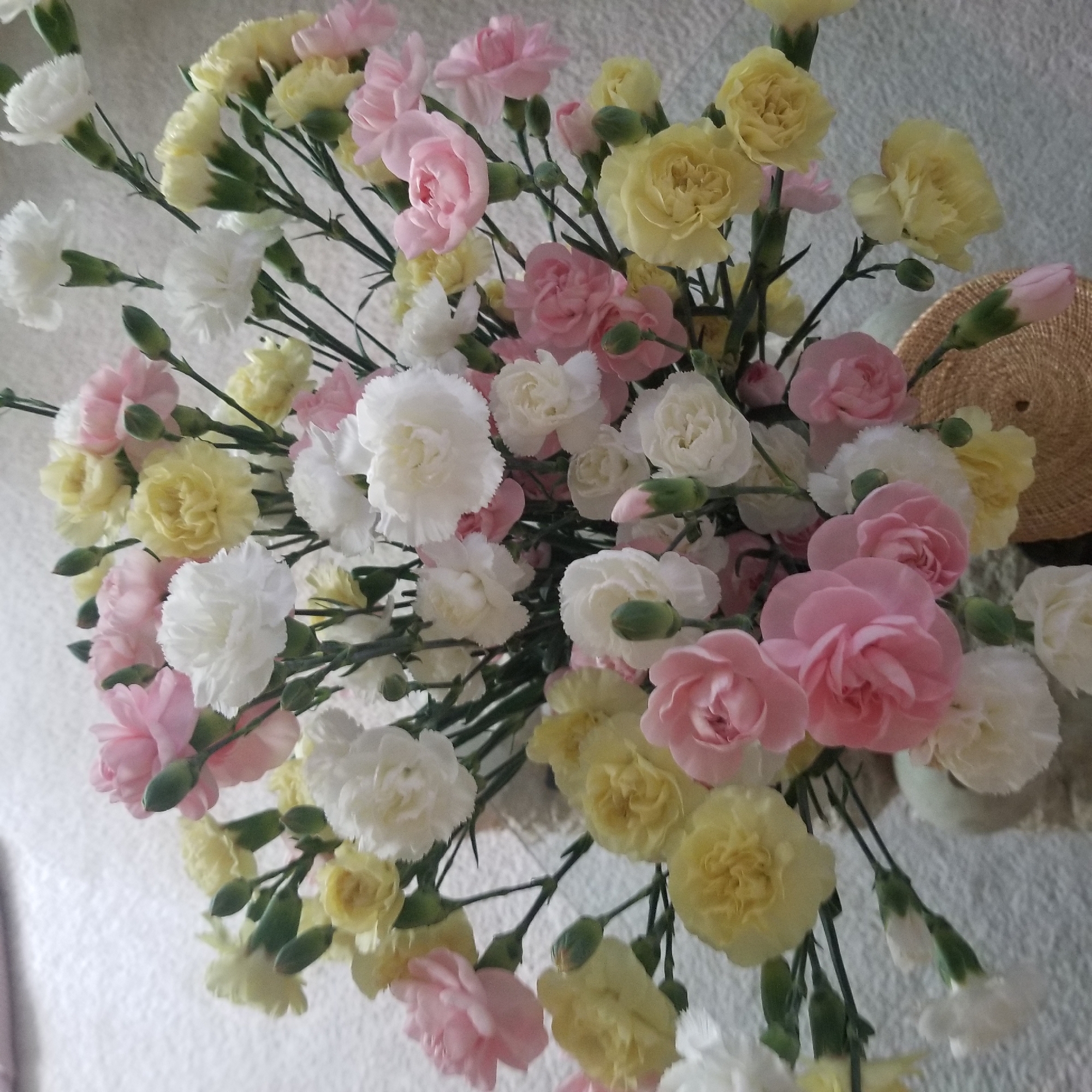 A bouquet of carnations in shades of pink, white, and yellow is displayed against a lightly textured, pale background, possibly a carpet or rug. The flowers are varied in their stage of bloom, with some fully open and others in bud. The stems are green and are intertwined, creating a lush and full arrangement. The bouquet is partially supported by a woven basket with a rough texture. The scene is indoors, with no visible windows or exterior elements. The lighting is soft and diffused, suggesting an interior light source. There are no people or animals present in the image. The image is focused on the floral arrangement, with the background softly blurred. The overall impression is one of a simple, naturalistic still life. No specific location in Virginia Beach, United States of America can be determined from the image alone.