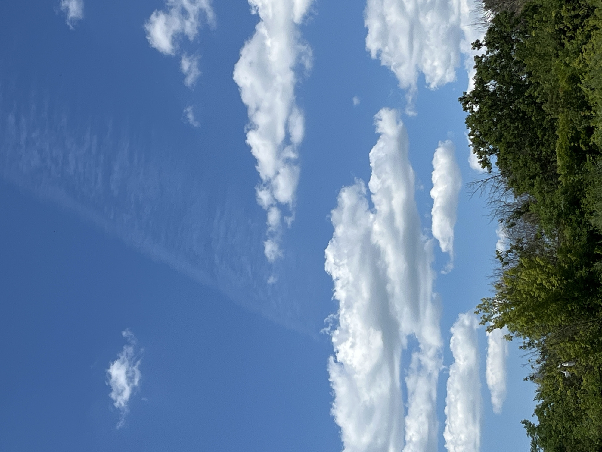 The image captures a bright, sunny day with a vibrant blue sky. The sky is dotted with numerous white clouds, ranging from wispy, thin streaks to larger, more voluminous formations. On the right side of the frame, a dense canopy of lush green trees forms a distinct border, suggesting a natural or park-like setting. The trees are full of leaves, indicating it's likely spring or summer.
The orientation of the image is vertical, with the tree line running along the right edge and the sky filling the majority of the frame. The lighting suggests it's daytime, likely mid-morning to late afternoon, given the brightness and clear visibility of the clouds. There are no people or man-made objects prominently featured, focusing the viewer's attention on the natural elements of the sky and foliage. The overall mood is serene and peaceful, highlighting the beauty of a clear day in a natural environment. The location context provided places this scene in the Taganrog City District, Russia. No text is visible in the image.