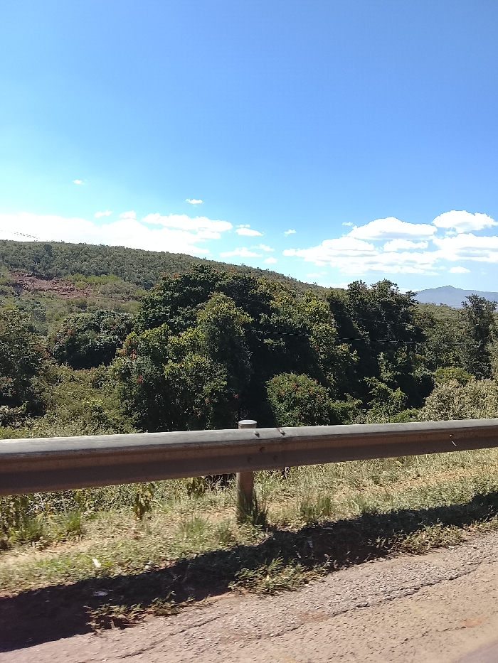 The image displays a daytime outdoor scene captured from a roadside vantage point within Kiambu Township ward, Kenya. A metallic, light grey guardrail, affixed to vertical posts (one visible prominently near the center), spans horizontally across the mid-ground. Below the guardrail, the immediate foreground consists of a cracked, unpaved dirt and gravel shoulder interspersed with patches of dry and green grass, onto which the guardrail casts a distinct shadow. Beyond the guardrail, a dense, verdant expanse of trees and shrubs covers a series of undulating hills that stretch towards the horizon. Some trees exhibit clusters of red elements, consistent with berries or flowers. On the upper slope of the leftmost hill, areas of exposed reddish-brown soil or rock are visible. The upper third of the frame reveals a clear, bright blue sky with scattered white cumulus clouds, more concentrated towards the right side. Faint outlines of distant hills are visible on the far right horizon. No people, animals, or active interactions are present in the scene.
