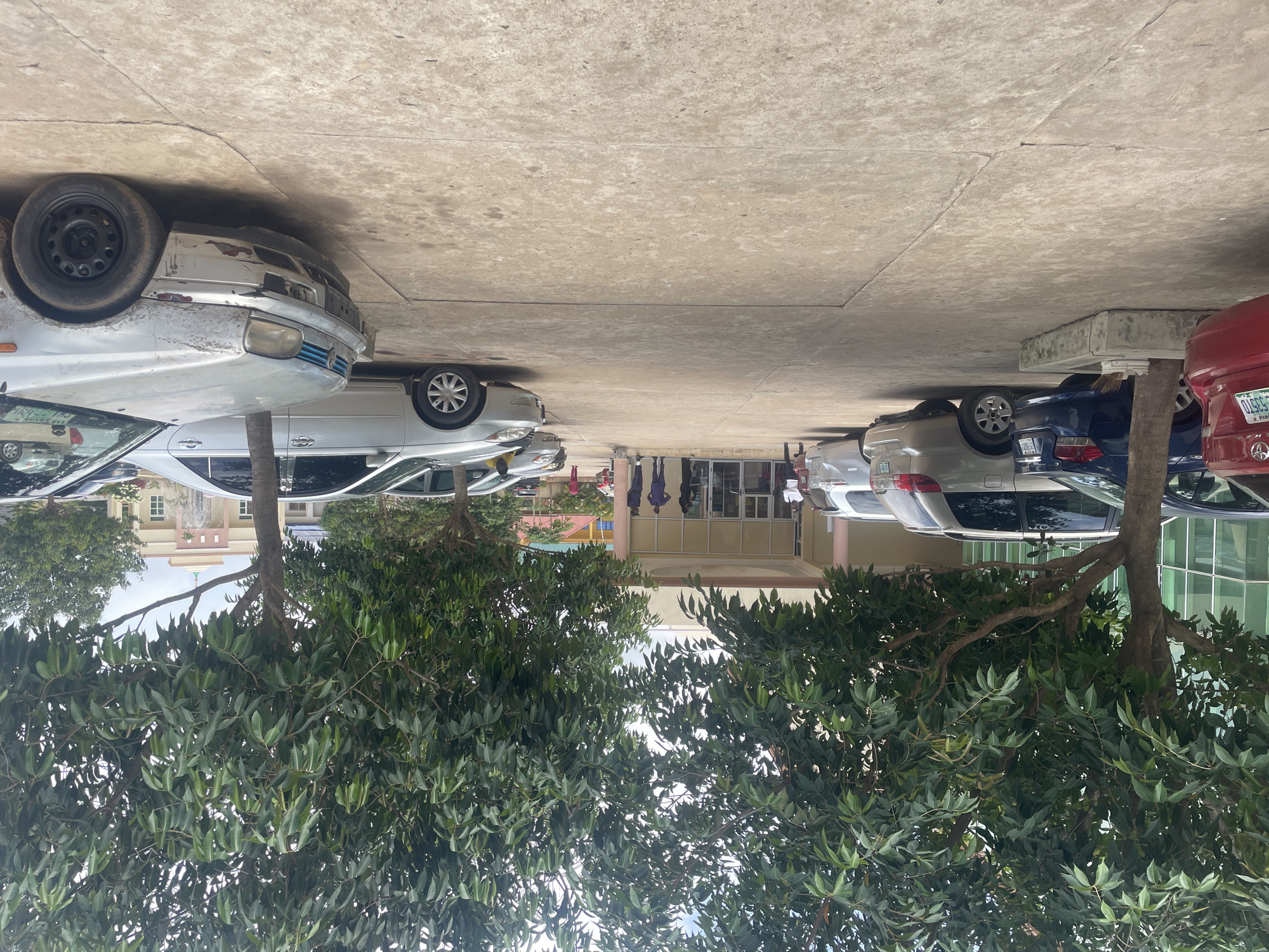 In a parking lot outside a building with glass windows and a pale pink overhang, several cars are parked. The cars include a silver sedan, a silver SUV, a blue sedan, and a red sedan. In the foreground, a damaged silver car with a black wheel is prominently displayed. Several trees with dense green foliage are positioned throughout the lot. A few individuals, some in dark uniforms, are visible near the entrance of the building. The ground is paved with concrete. The scene appears to be in Abuja, Nigeria.