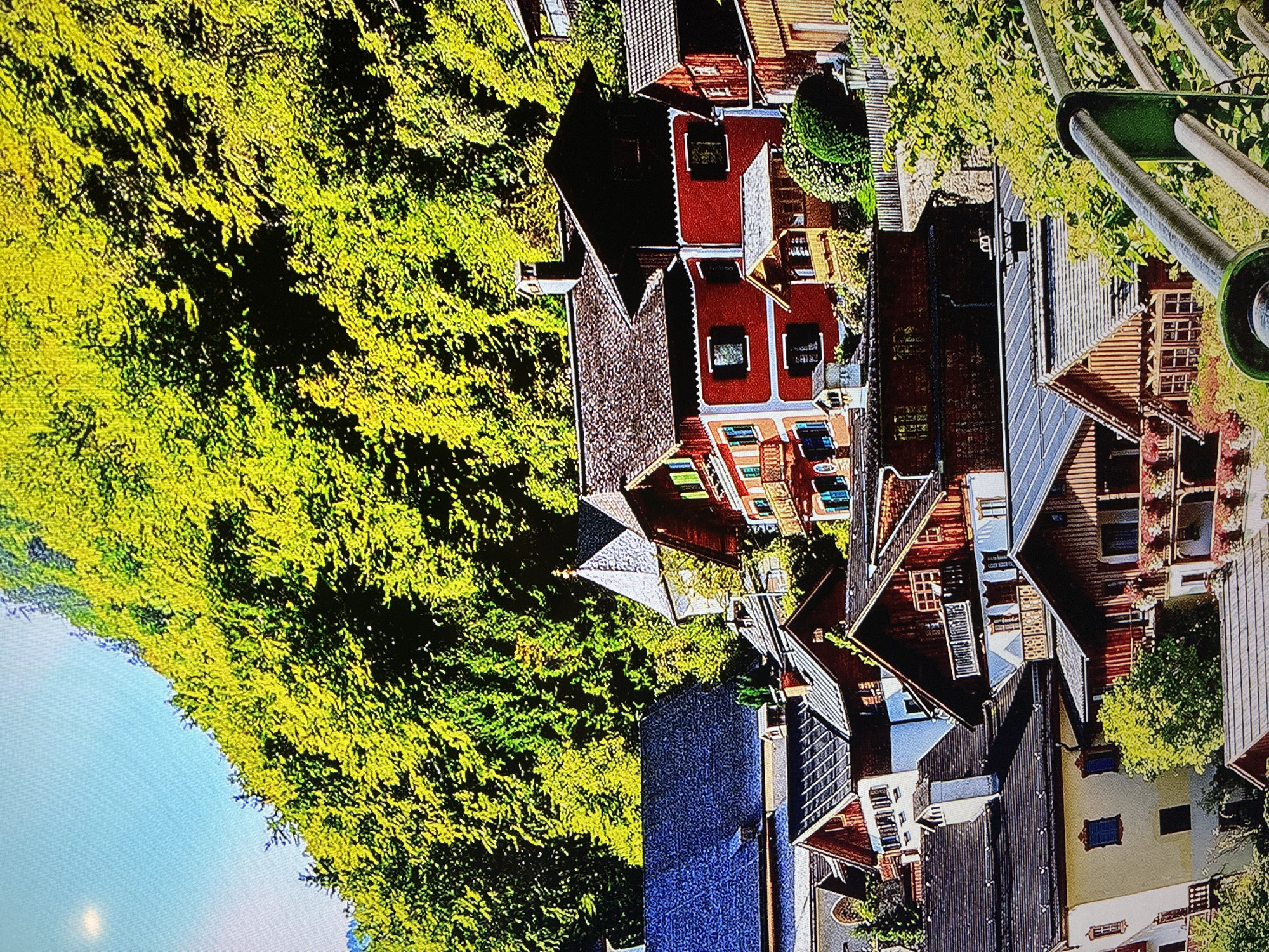 The media file presents an elevated or aerial view of a densely packed settlement, likely a village or small town, framed by abundant, vibrant green foliage and a clear blue sky. The image itself is rotated 90 degrees counter-clockwise.
The scene is dominated by numerous traditional-style houses, characterized by steeply pitched roofs covered in dark tiles or shingles. Many buildings feature red-painted exteriors, contrasting with others that display natural wood finishes or lighter cream-colored walls. Multiple windows, some with visible shutters, are apparent on the facades of the houses. The surrounding landscape is lush with a variety of green trees and bushes, which also dot the spaces between buildings, creating a verdant and natural setting.
The lighting indicates bright daylight, suggesting a clear and sunny day. Shadows cast by the structures imply the sun is positioned for either morning or afternoon. There are no individuals or overt activities visible within the frame, portraying a tranquil and static snapshot of the location.
In the foreground on the right side, a structure composed of silver metal poles and a green horizontal element is partially visible, possibly part of a railing, fence, or outdoor equipment. On a window pane of one of the red-painted houses, there is some indistinct white text that resembles "CHEHR," but it is not clearly legible.
Based on the provided context, the location depicted is Sofia, Bulgaria, and the architecture is consistent with traditional European styles found in the region.