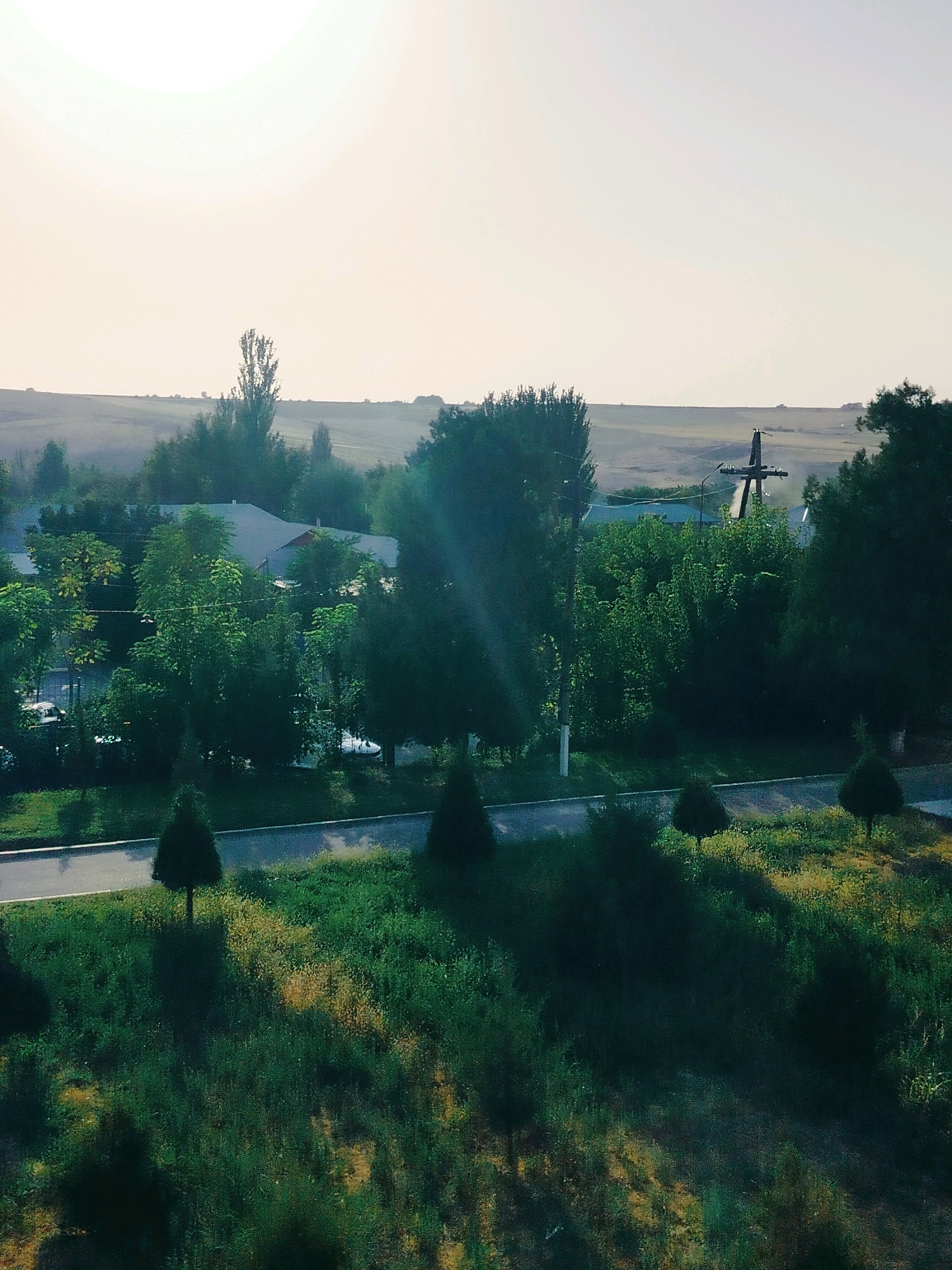 A daytime, medium-shot, aerial view captures a semi-rural scene in the city of Көлкент, Kazakhstan. The frame is dominated by a lush, green landscape, with a road cutting across the lower middle ground. Several small, conical evergreen trees are scattered along the grassy verge next to the road. In the mid-ground, a cluster of mature trees with dense foliage partially obscures a building with a dark, angled roof. Beyond the trees, a power line pylon with horizontal crossbars stands prominently against a hazy, pale sky. The distant background shows rolling hills and fields, suggesting the outskirts of the city. The lighting is diffuse, indicating either early morning or late afternoon. There are no visible people in the frame.