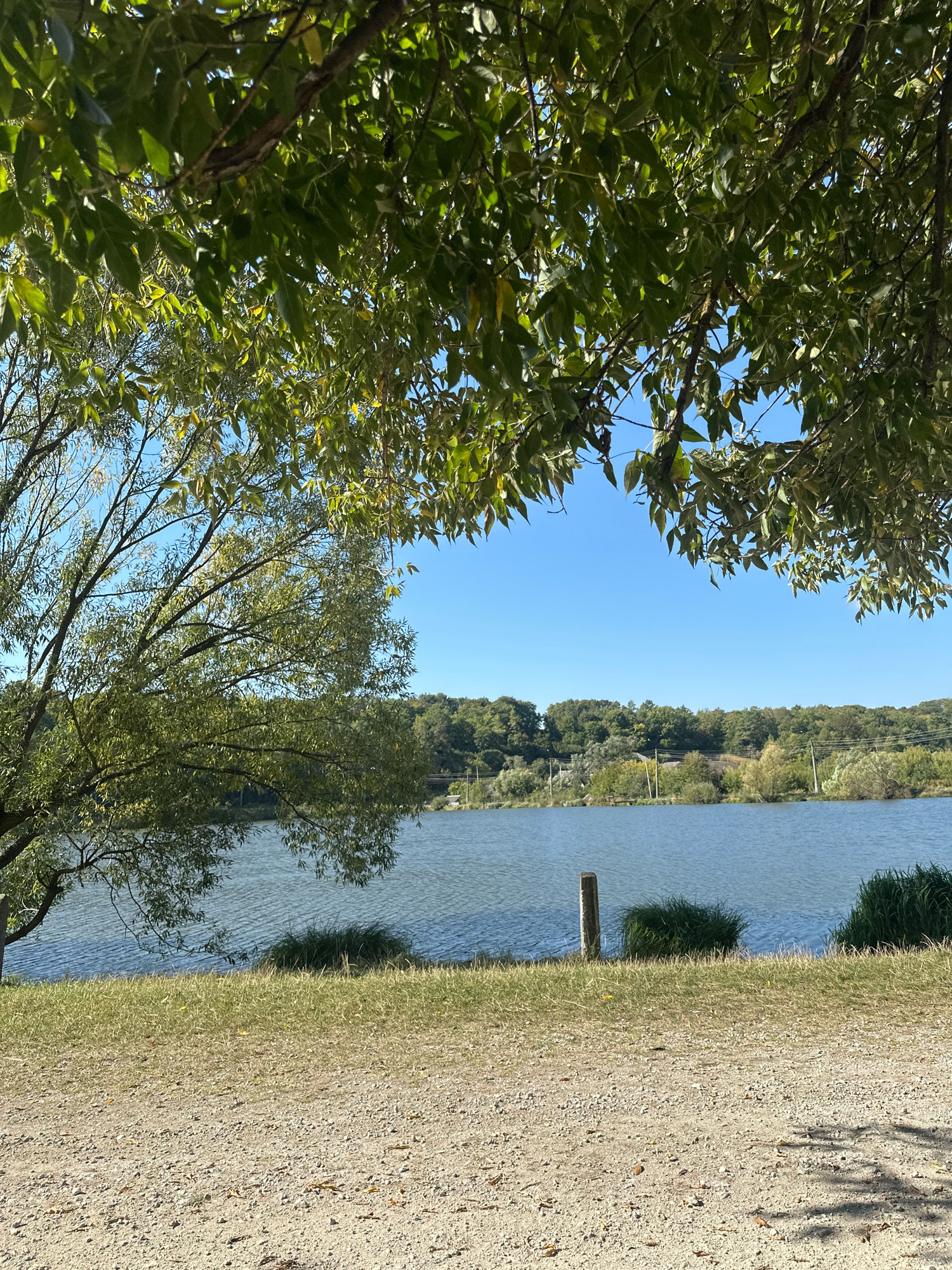 An outdoor, eye-level shot captures a serene lake scene framed by the leafy branches of trees in the foreground. The water, a tranquil blue, reflects the clear, bright sky above. Along the shore, a band of green grass transitions to a gravelly path in the immediate foreground. A wooden post stands partially submerged in the water near the shore. The background features a dense line of green trees and foliage, hinting at a wooded area beyond the lake. The lighting suggests it is daytime, with sunlight dappling through the leaves and casting shadows on the path. The overall atmosphere is peaceful and natural. This scene is located on the grounds of a lake in the village of Makiv, Ukraine.