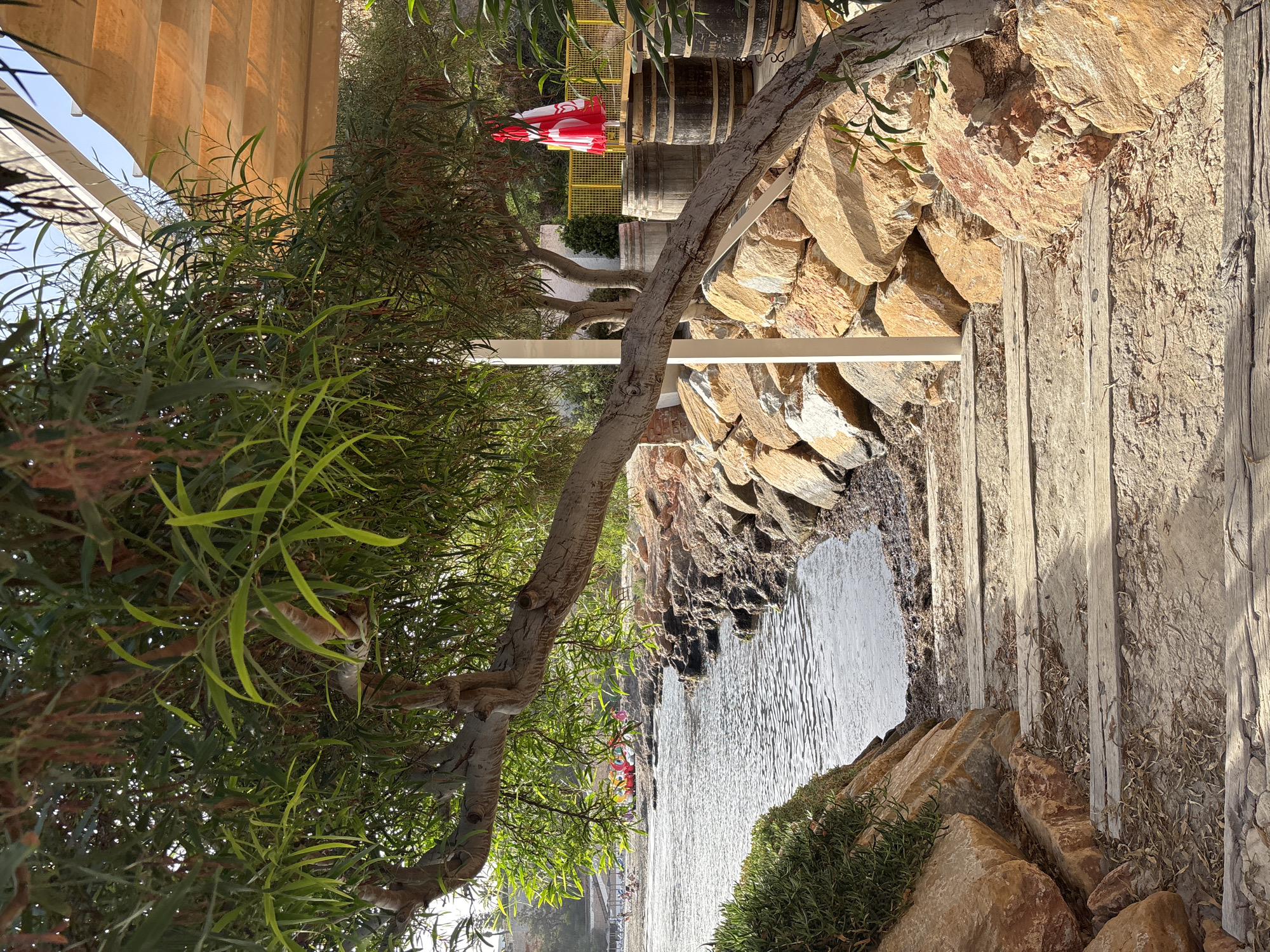 The image depicts a view of a rocky shoreline with a wooden walkway leading down to the water. In the foreground, a large tree branch extends across the frame, casting shadows on the walkway and surrounding rocks. The water is calm and reflects the sunlight. Beyond the immediate shoreline, a beach with scattered people and colorful inflatables is visible. In the background, to the right, are several wooden barrels and a red and white umbrella, suggesting a bar or seating area. The scene appears to be a coastal setting, likely part of Orihuela's coastline, known for its beaches and Mediterranean charm. The overall impression is one of a serene beachside location.