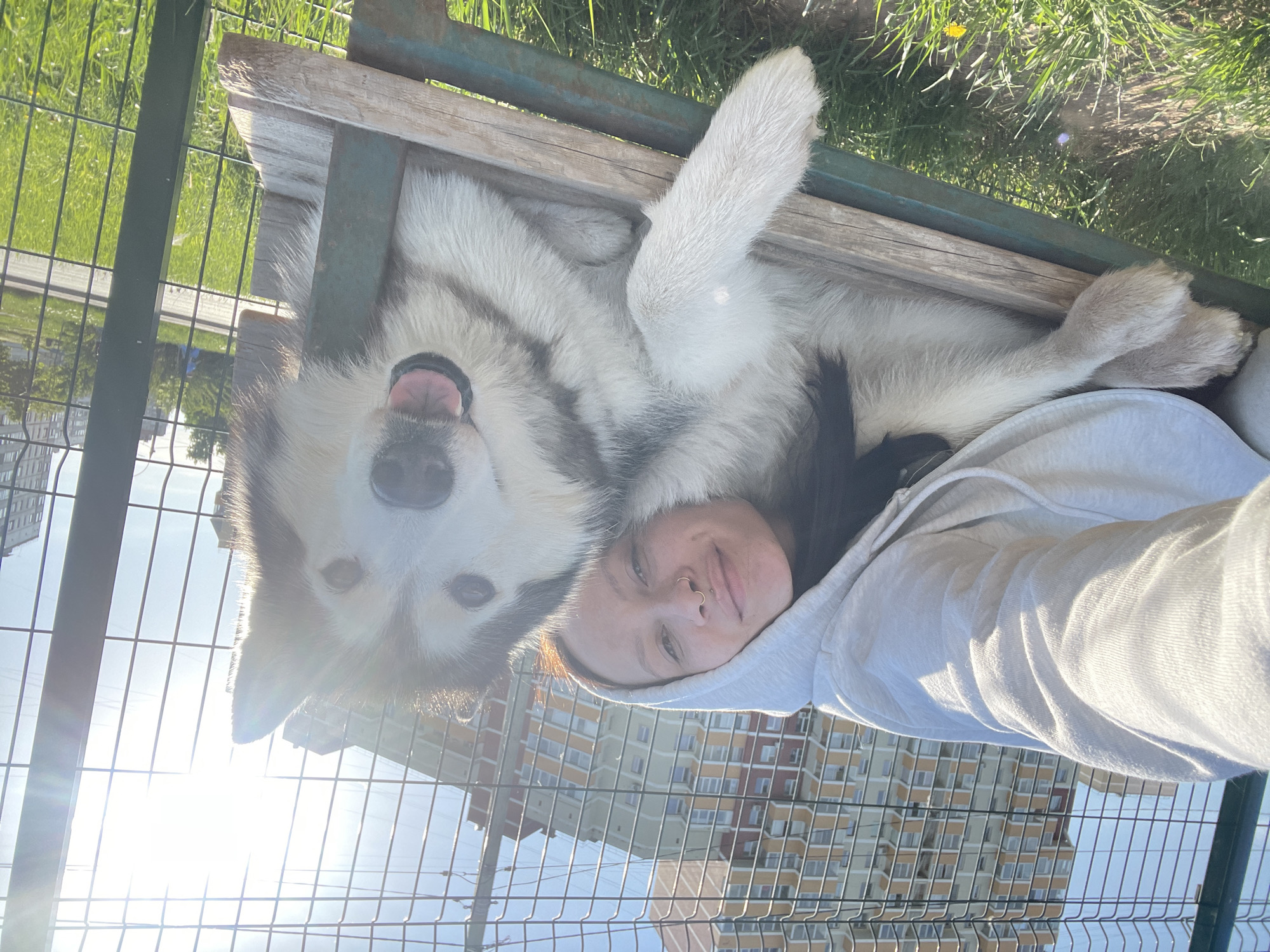 A person and a dog are together in a park in Izhevsk, Russia. The person, fair-skinned and wearing a light-colored hooded sweatshirt, is lying on a bench. The dog, a large breed with primarily white fur and some darker markings, is lying on top of the person, with its head close to the person's face and its tongue slightly visible. A wire fence and green grass are in the background. Buildings can be seen in the distance. The scene is illuminated by bright sunlight.