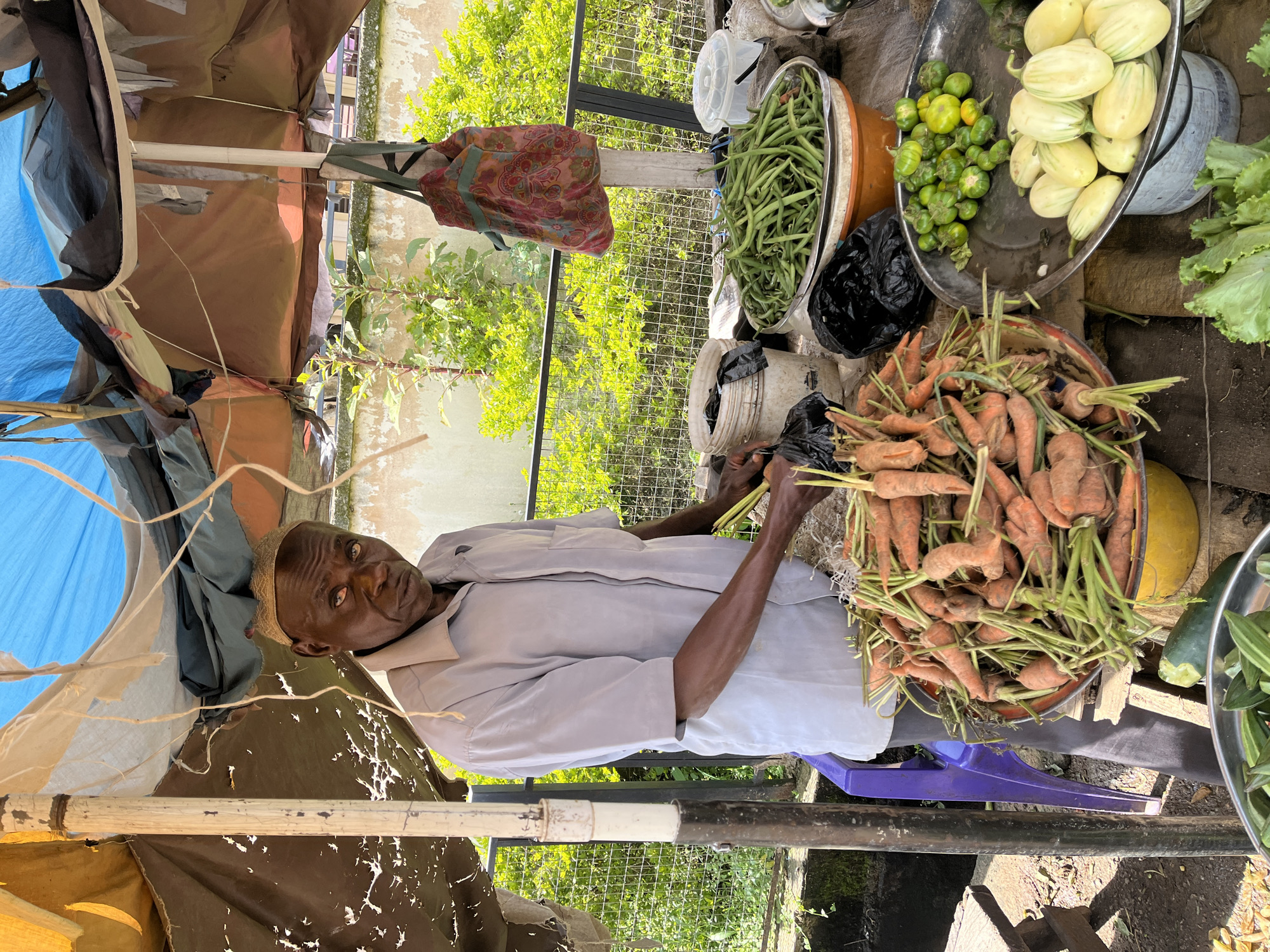An elderly African man stands behind a market stall under a makeshift canopy in Jos, Nigeria. The man, wearing a light grey shirt and a traditional cap, looks directly at the camera with a serious expression. He is surrounded by an assortment of fresh produce, including a large pile of carrots in a red bowl, green beans in a silver bowl, small green eggplants, and pale striped eggplants. A colorful patterned bag hangs from a pole supporting the canopy, which appears to be constructed from various tarps and fabrics. The background shows lush green vegetation behind a metal fence, suggesting an outdoor market setting. The man's hands are visible as he appears to be handling some of the carrots. The overall scene depicts a vibrant market environment with a focus on fresh produce.