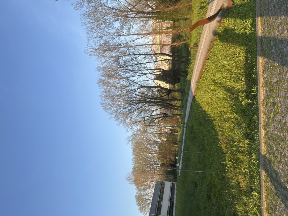 The scene depicts an outdoor park or green space in Guimarães, Portugal, under a clear, bright blue sky with no clouds. The lighting suggests a low sun angle, casting long shadows from the right foreground towards the left and across portions of the grassy areas, indicating either early morning or late afternoon.
In the immediate foreground, a textured paved surface (possibly cobblestone or block paving) is partially visible and covered in shadow. Immediately beyond this, a broad expanse of unkempt green grass, showing varying heights and small white wildflowers, slopes gently upwards and across the frame. The grass is illuminated by direct sunlight on the right side and extends into shadow on the left.
A winding pedestrian pathway, composed of light-colored aggregate material framed by dark, possibly corten steel, edging, traverses the mid-ground from the left and curves towards the right, disappearing into the distance. Several modern, slender lampposts with dark finishes are spaced along the left side of this pathway.
Along the path and forming a natural barrier is a dense line of tall, deciduous trees with bare branches, indicating either winter or early spring. These trees extend across the middle and background of the image. Interspersed among them are a few smaller evergreen trees or bushes.
On the far left, a multi-story building with a light-colored facade, featuring horizontal bands and visible windows, stands partially obscured by foreground foliage. In the mid-ground, to the left of the path, two indistinct human figures are visible. They appear to be seated or reclining on the grassy slope, wearing light-colored clothing. Their specific features, actions, and interactions are not discernible due to distance and resolution. A reddish-brown park bench is visible beneath the trees further down the path on the right.
In the far background, behind the line of trees, other urban structures with varied colored facades are faintly discernible. A decorative, curved, reddish-brown metal structure is present in the immediate right foreground, partially cut off by the frame.