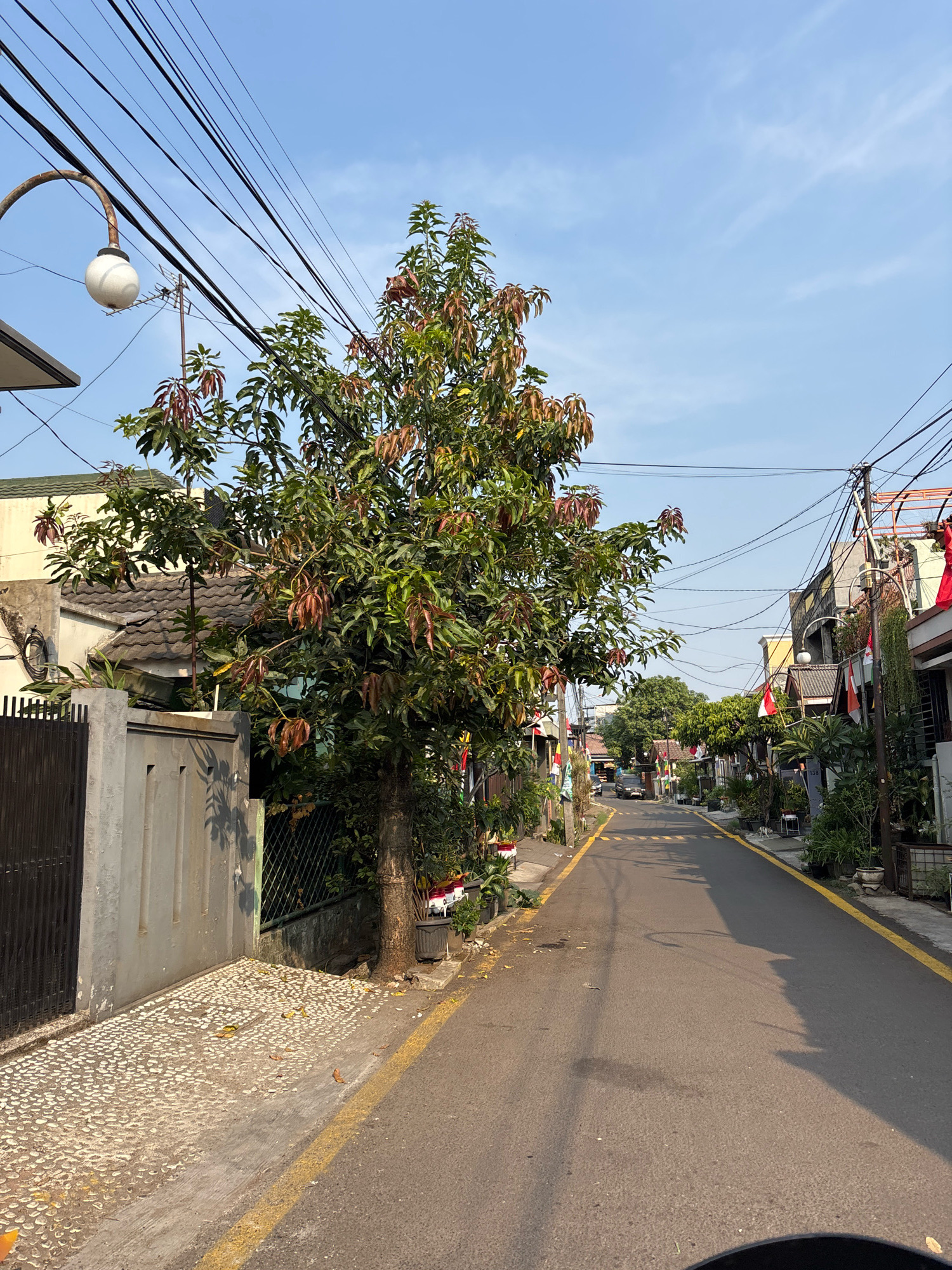 The image depicts a residential street in Bekasi, Indonesia. The street is paved and lined with houses on both sides. A large tree with green and reddish leaves stands in the foreground, partially obscuring the view of the houses behind it. Indonesian flags are visible, suggesting a national celebration or commemoration. Several power lines stretch across the sky, common in urban Indonesian settings. The weather appears clear with a blue sky. There are no people or specific actions captured in the scene. The overall environment is that of a typical, somewhat narrow urban street in a residential area.