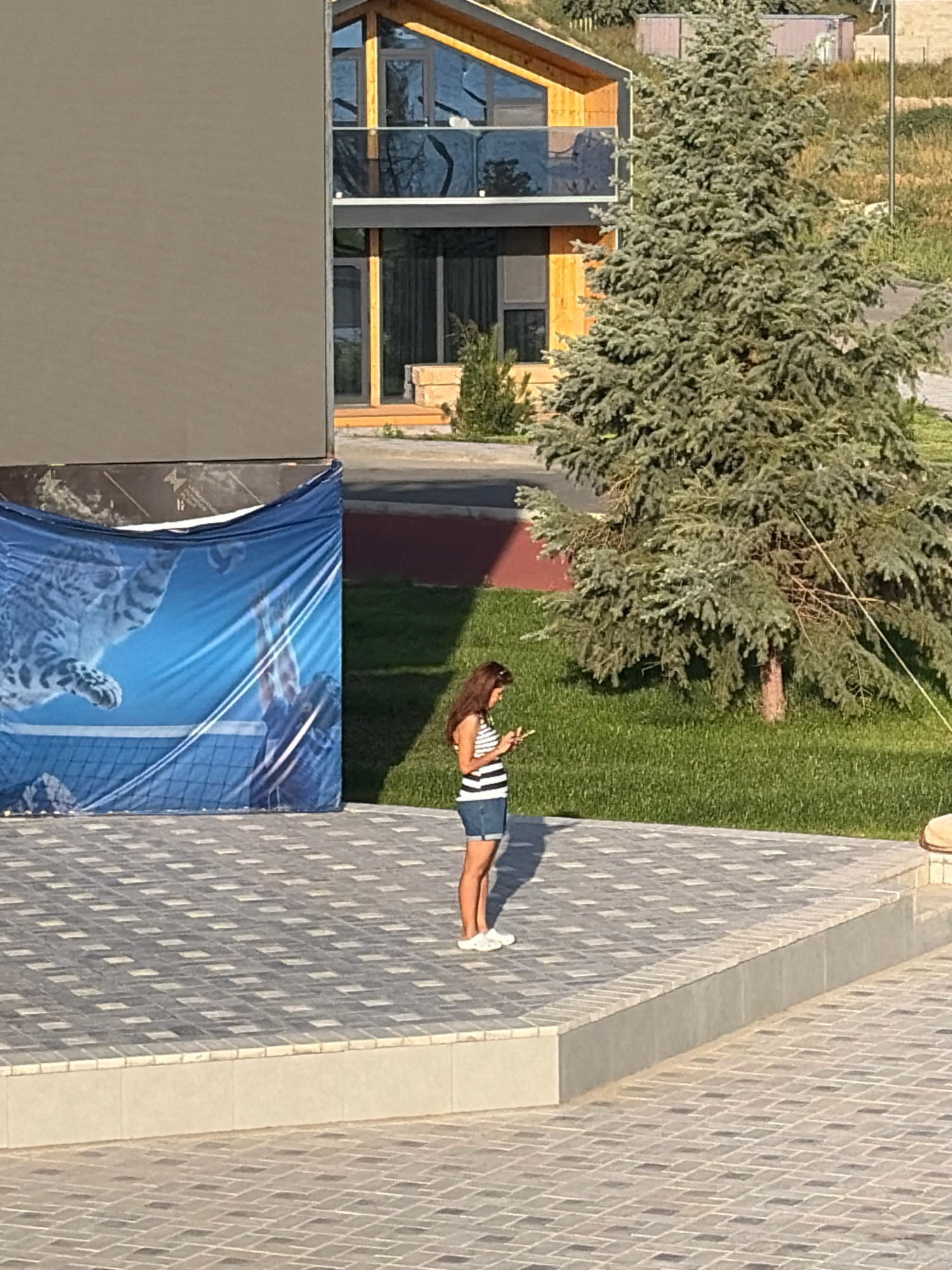 A young woman, facing to the right and looking down at her phone, stands on a paved outdoor patio area. She has long, brown hair and is wearing a black and white striped tank top and denim shorts. She has white sneakers on. Behind her, a large blue banner with a graphic of a cat playing volleyball is hanging on a structure. To her right, a large evergreen tree stands in a grassy area. In the background, a modern, multi-story building with large windows and wooden accents is visible. The scene is set during daylight, casting shadows on the ground.