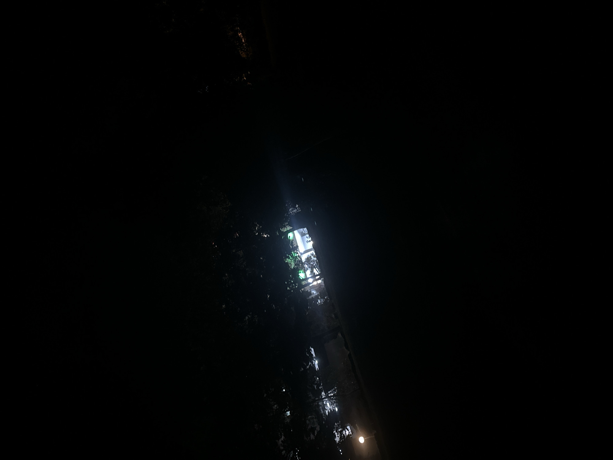 A night-time, dimly lit outdoor scene is captured at an angle, with much of the frame consumed by darkness. In the mid-ground, a few streetlights are visible, casting a soft glow on the surrounding foliage and a building. One prominent, spherical streetlight stands out on the left side of the image. Behind it, silhouetted trees obscure much of the background, but faint lights suggest structures or a townscape further in the distance. The scene appears to be a park or a well-lit pathway in a residential or commercial area. Given the provided location of Blagoevgrad, Bulgaria, this could be a park or a street scene with decorative lighting.