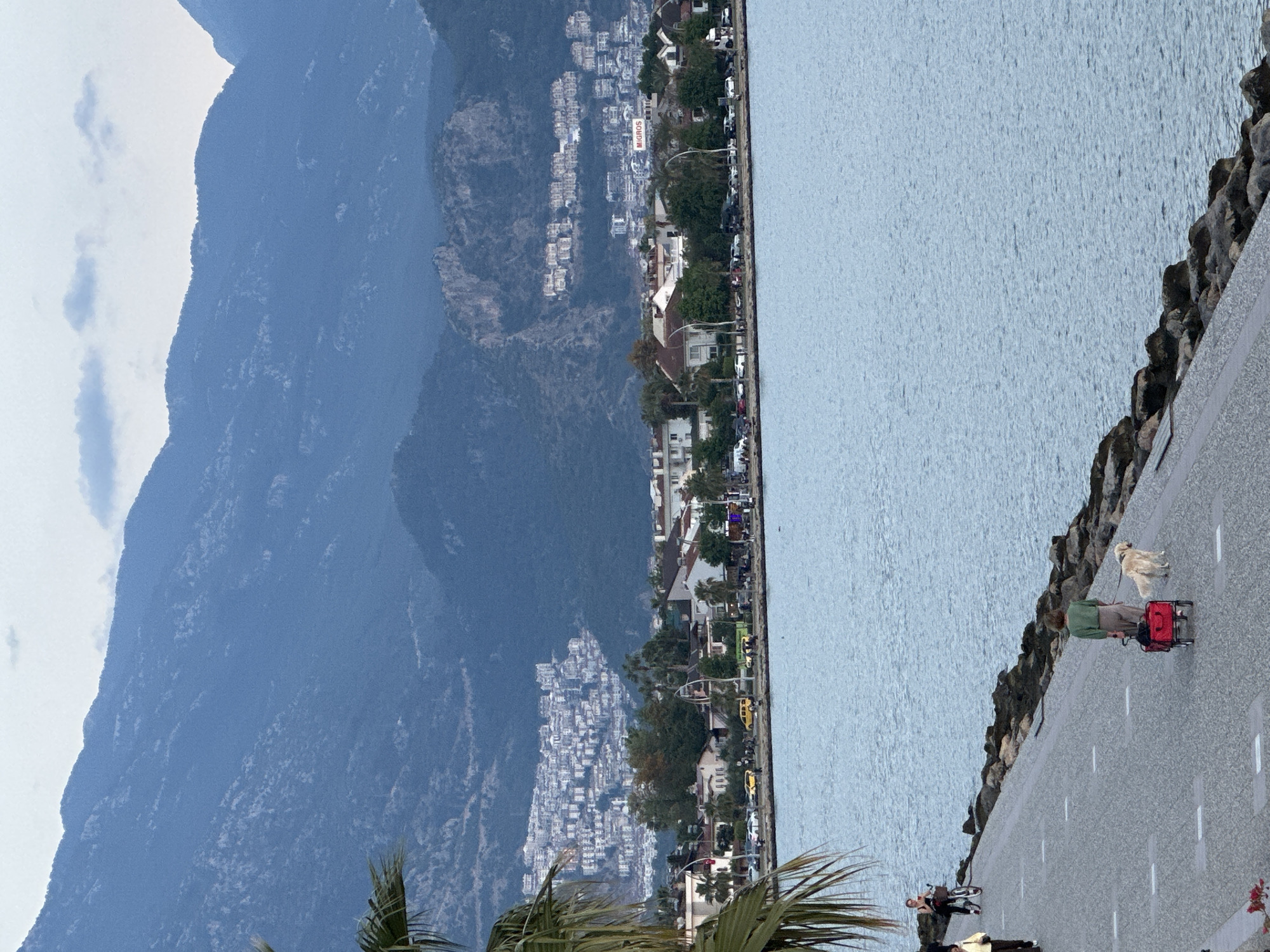 This image shows a waterfront view in Fethiye, Turkey. In the background are mountains. A mix of residential and commercial buildings line the coast, including a Migros supermarket visible. A paved path runs along the water's edge. On the path, a person wearing green is walking a golden retriever-type dog and pulling a red wagon. Another person on a bicycle and other pedestrians can be seen further down the path. The water is calm with a light blue hue. Palm fronds are visible in the foreground. The weather appears overcast with clouds in the sky.